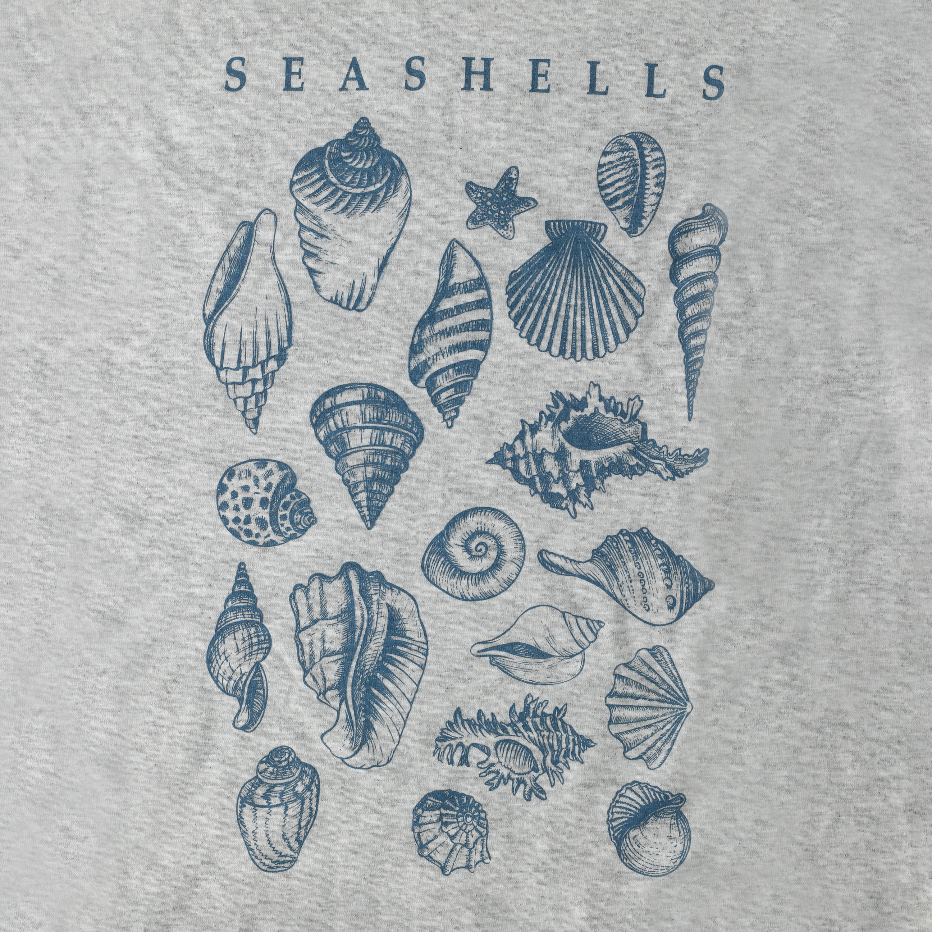 'Seashells' Graphic Tee