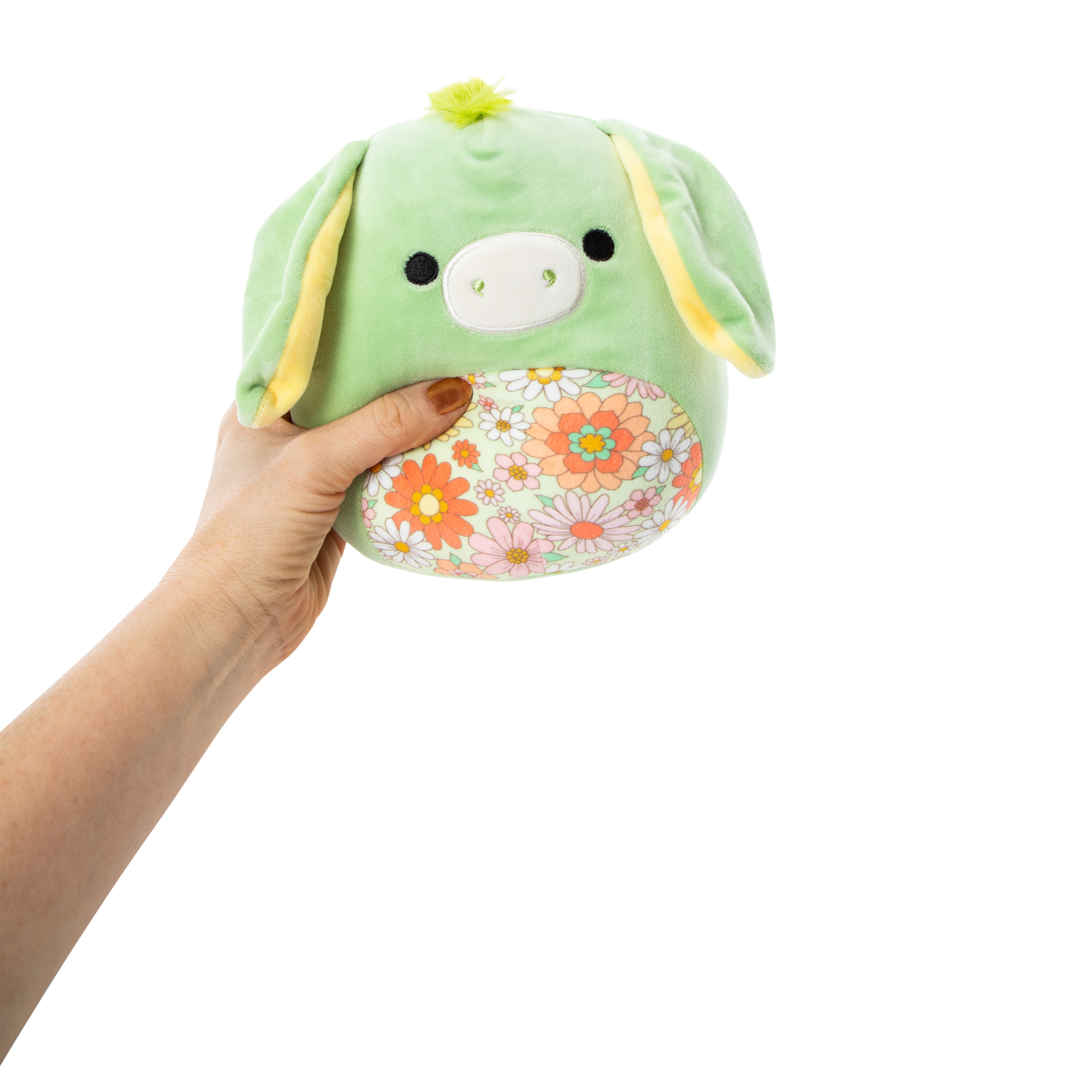 Squishmallows 7.5 - Robert the Aqua Frog