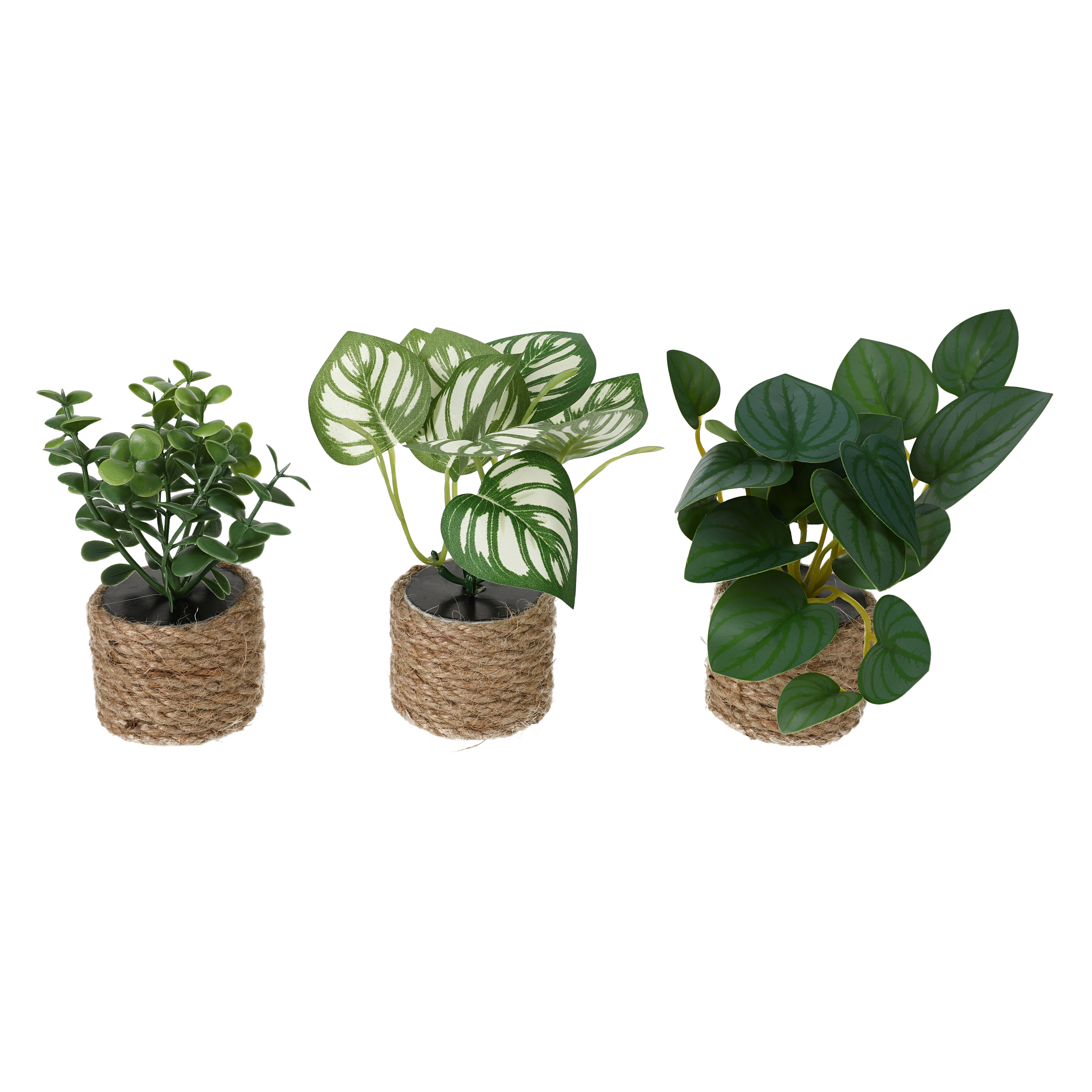 Mini Potted Faux Plants 3-Count