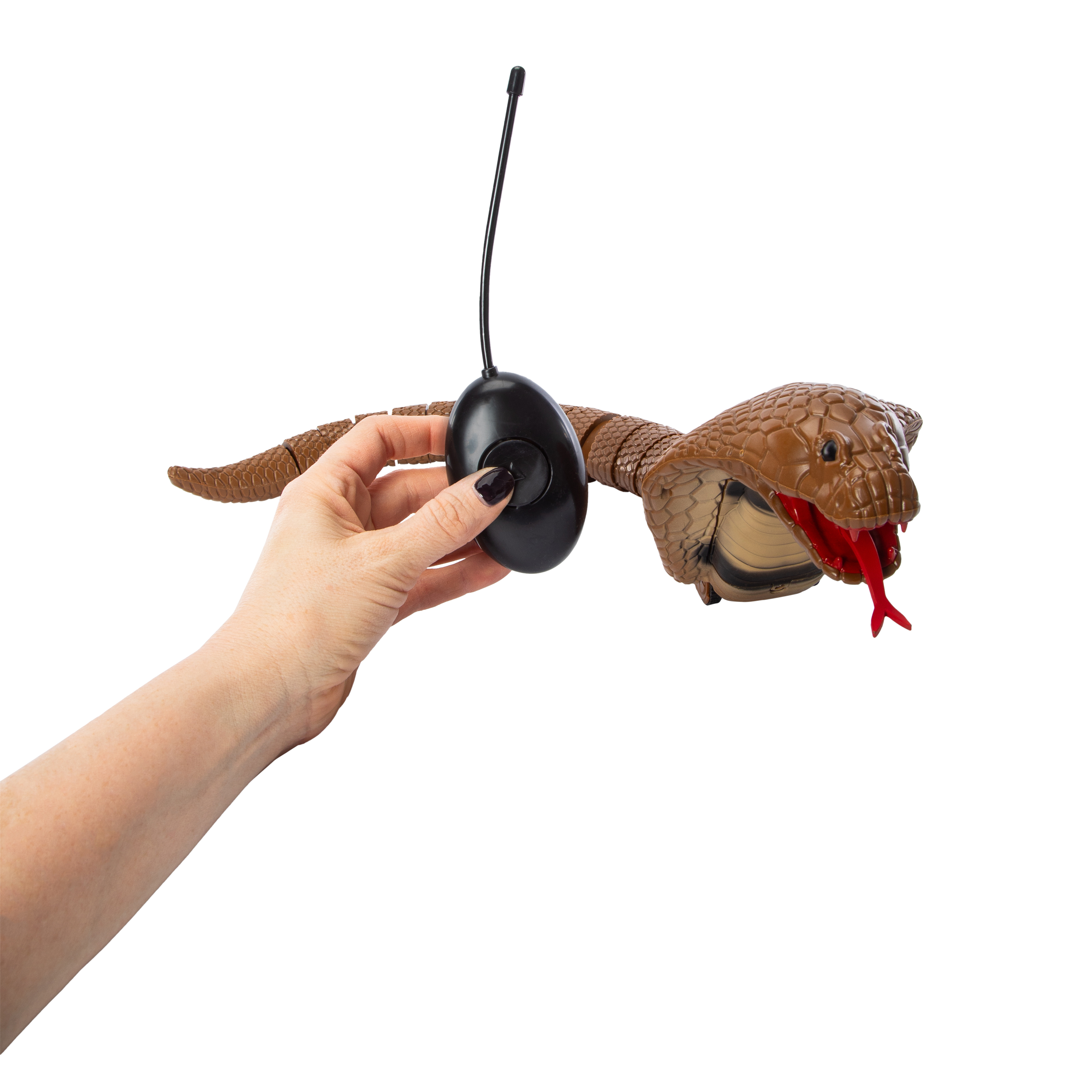 Remote Control Cobra Toy
