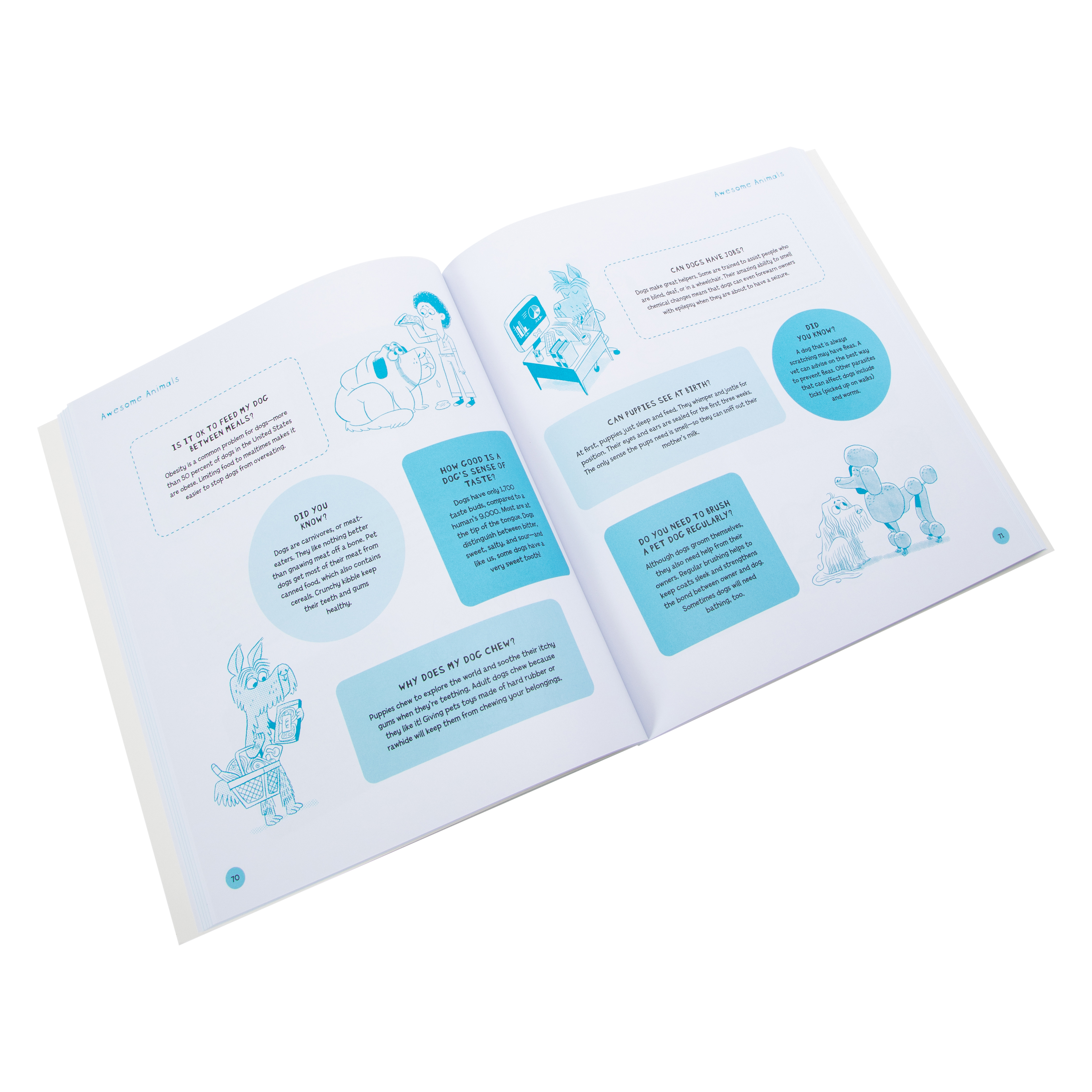 648 Really Weird Facts That Will Boggle Your Brain