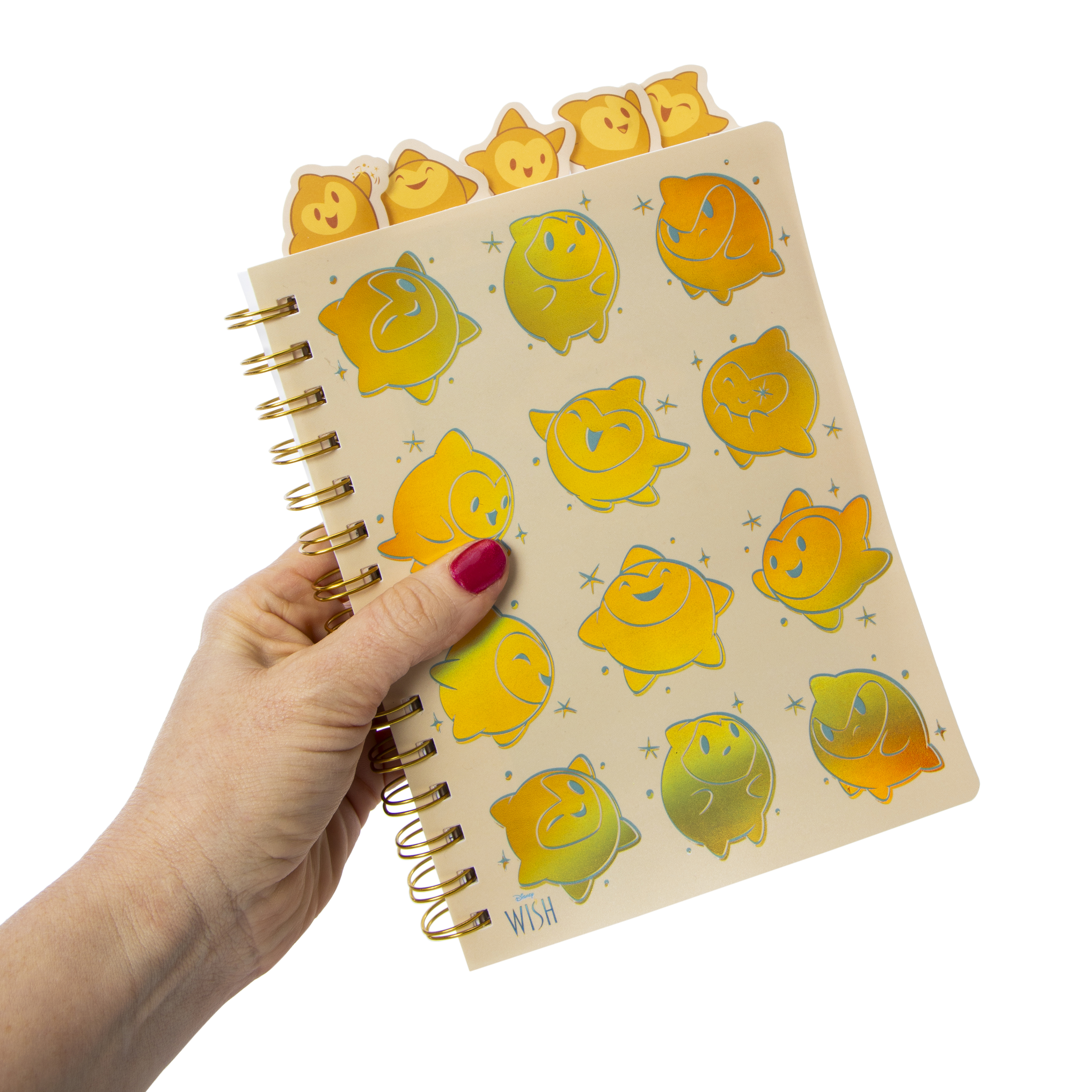 Disney Wish Tab Journal