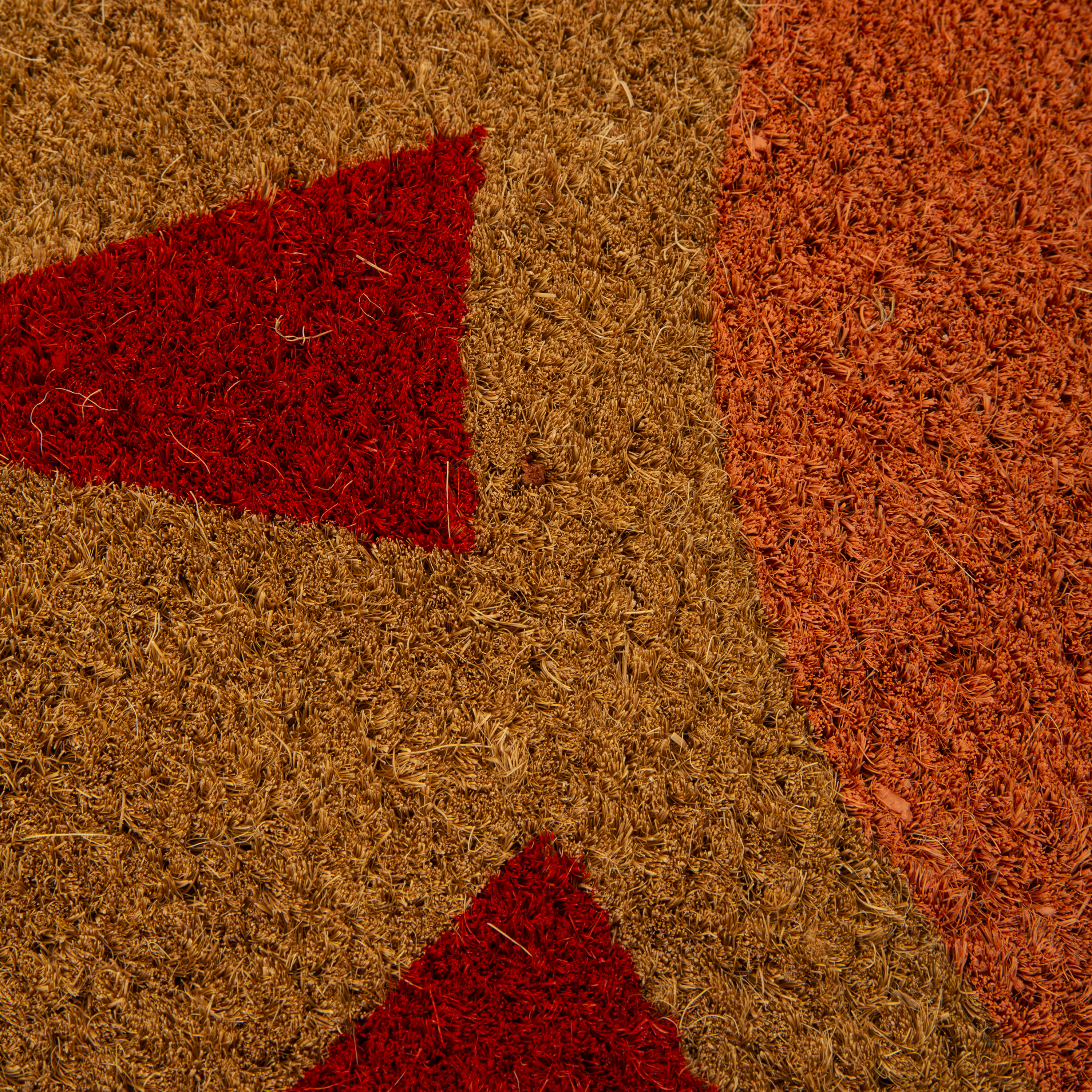 Cute Coir Doormat 28in x 16in