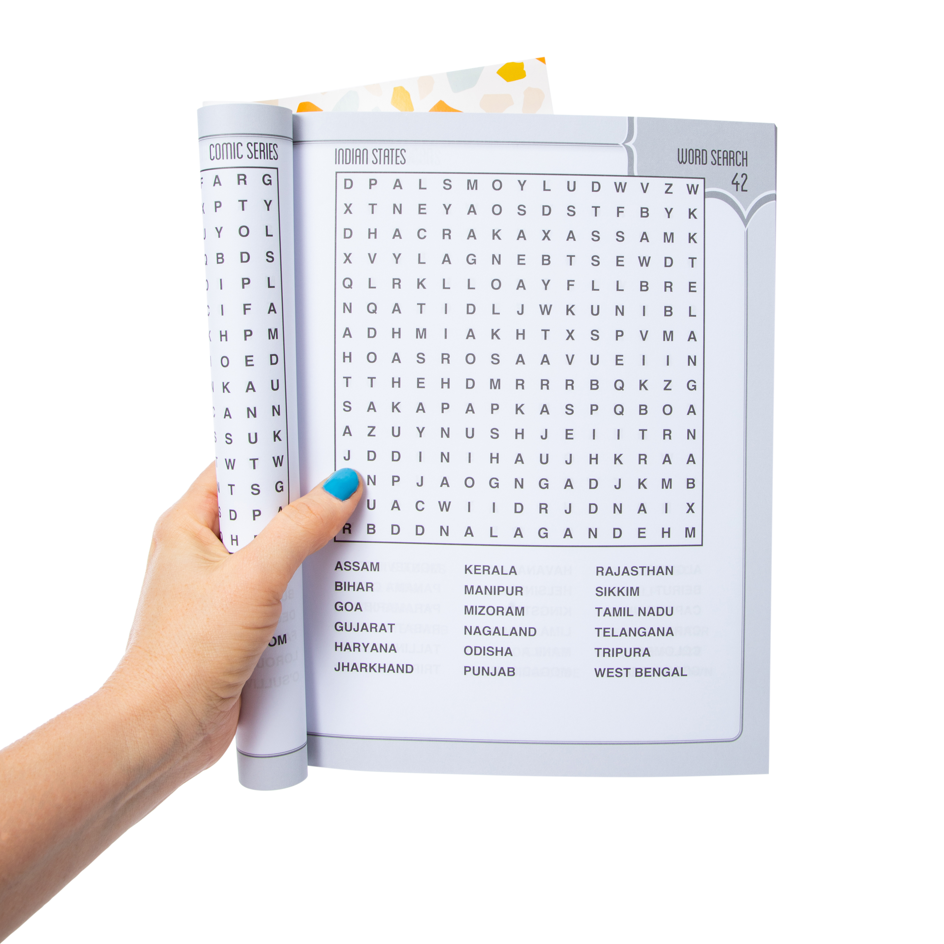 Large Print Puzzle Book