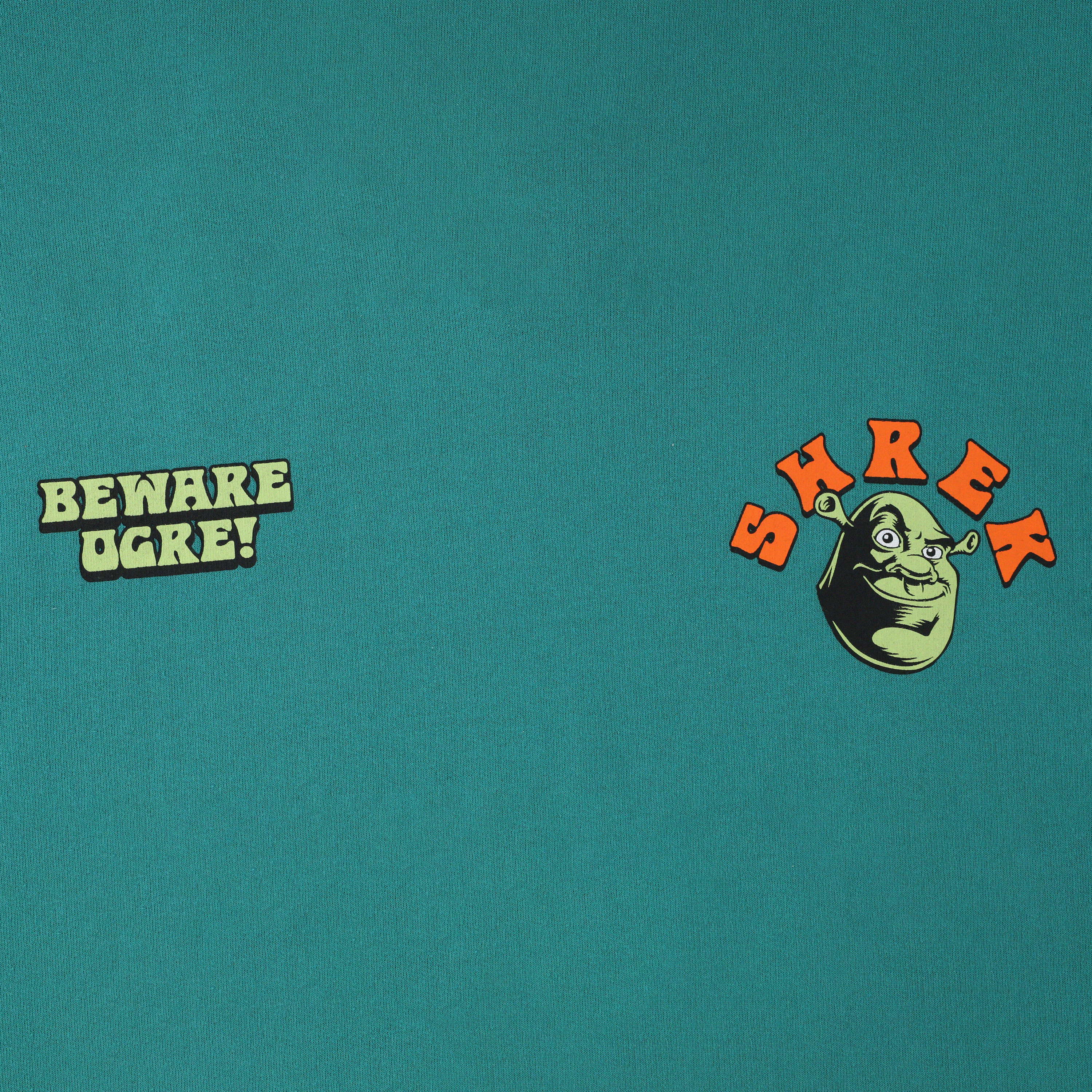 Young Mens Shrek Hoodie