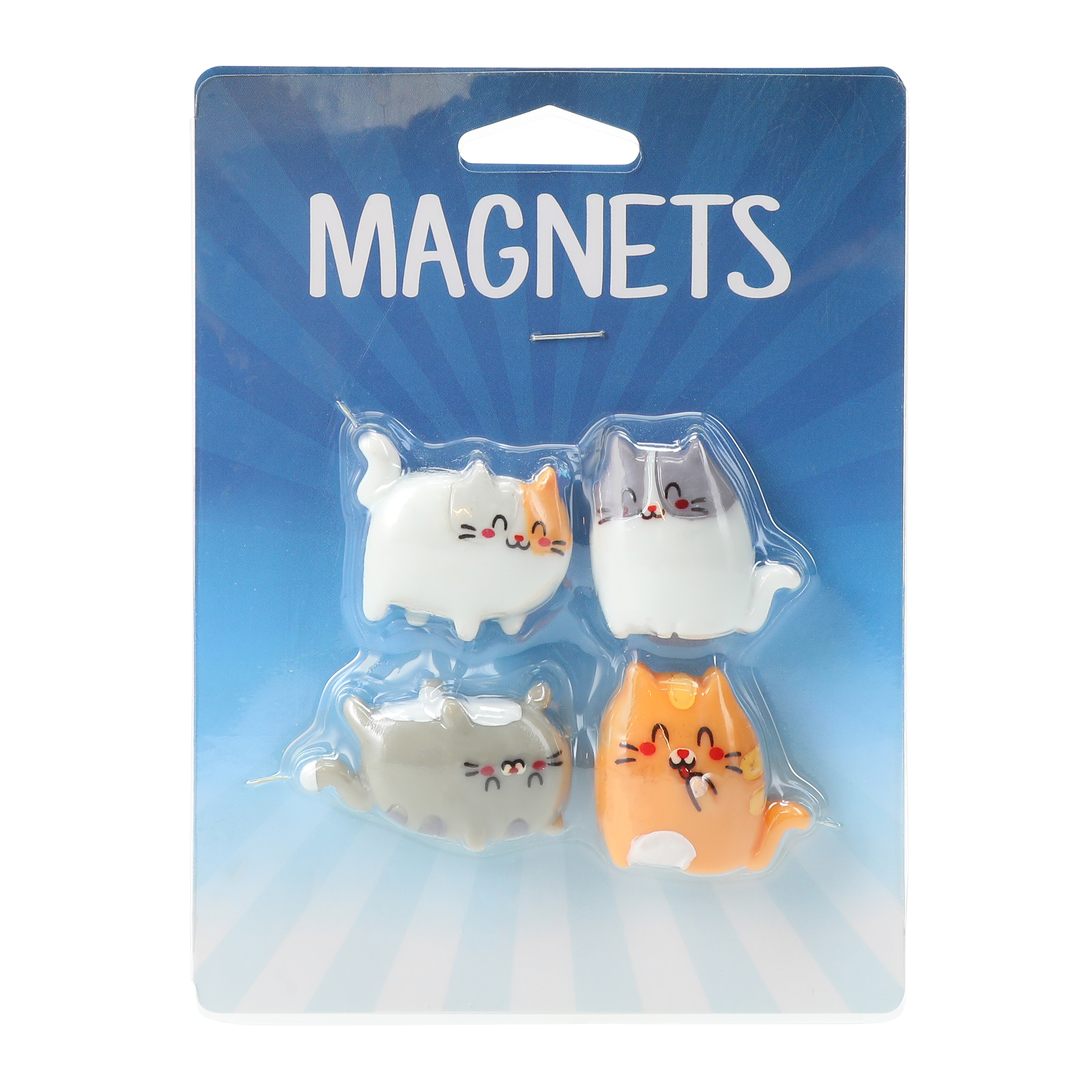 Novelty Mini Magnet Set 4-Count