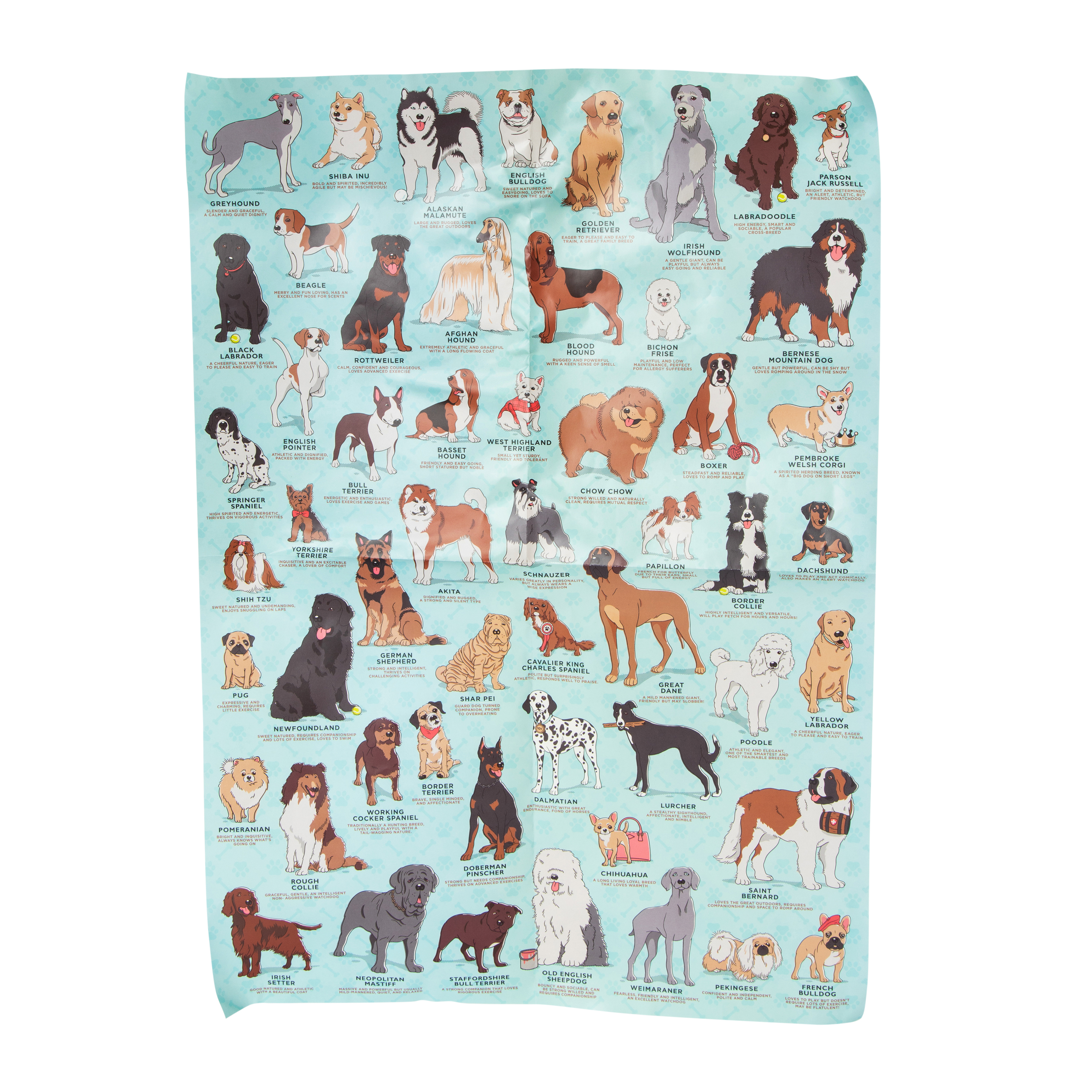 Ridley's® The Dog Lover's Jigsaw Puzzle 500-Piece