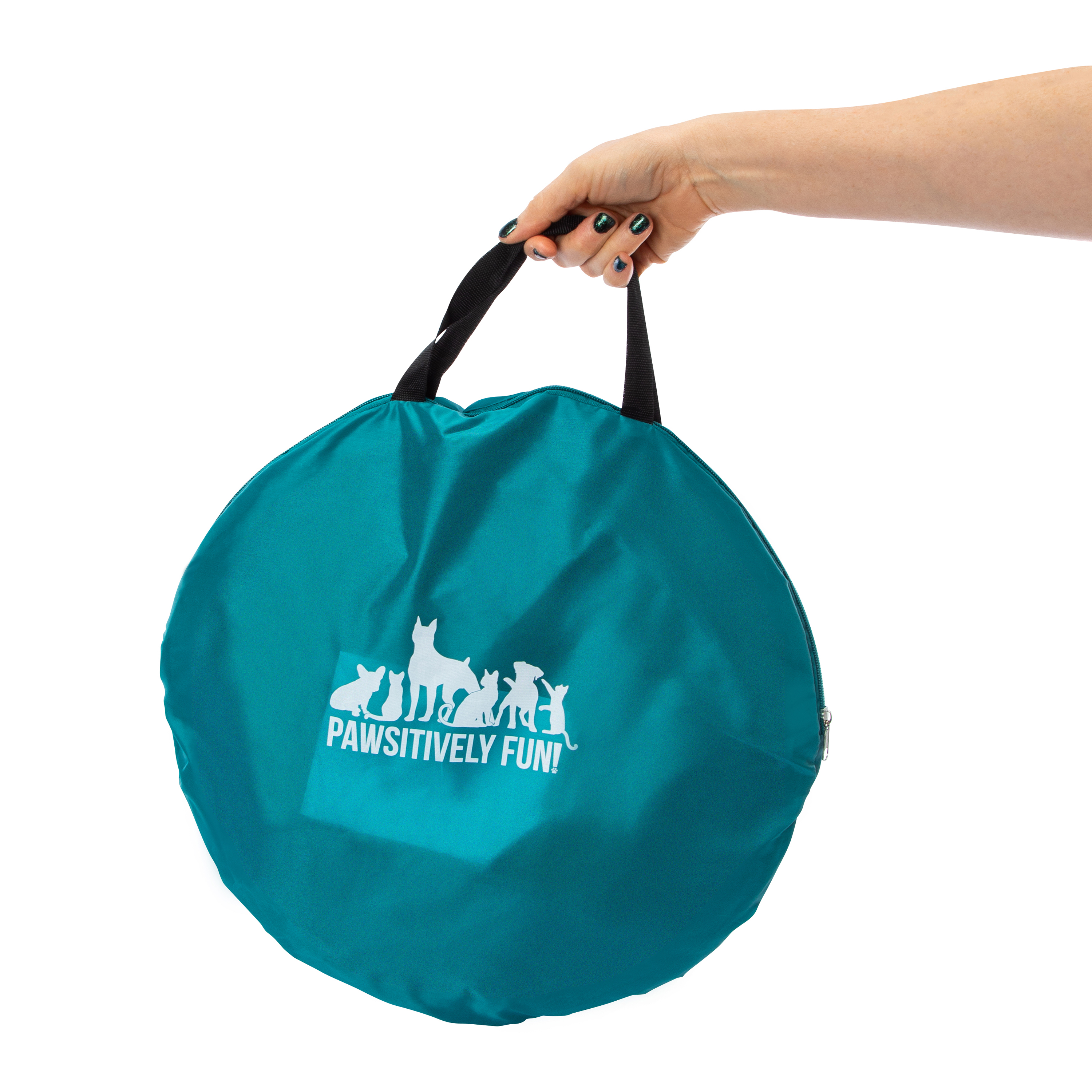 Indoor/Outdoor Cat Tent With Dangle Toys