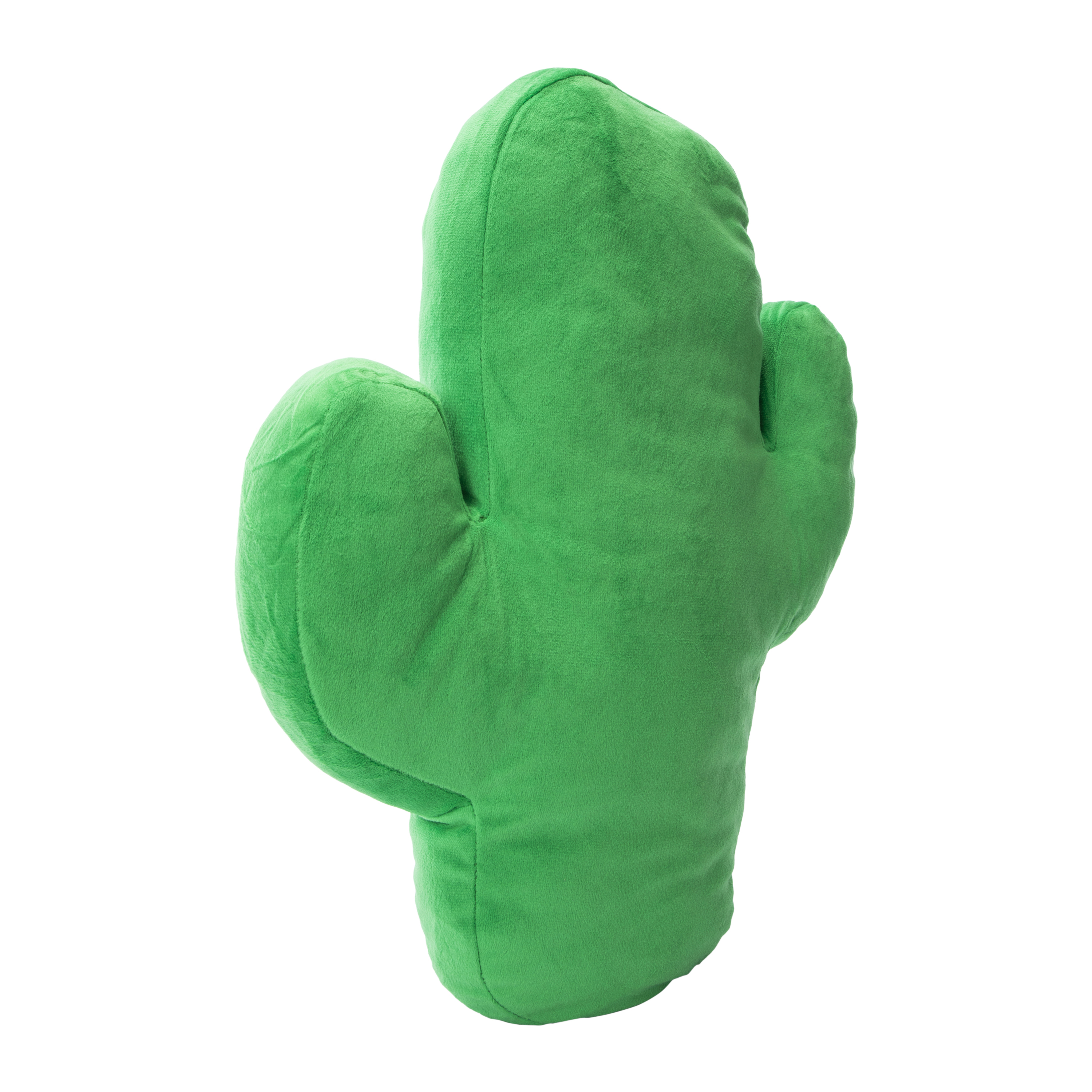 Cactus Outdoor Throw Pillow 12.2in x 15in