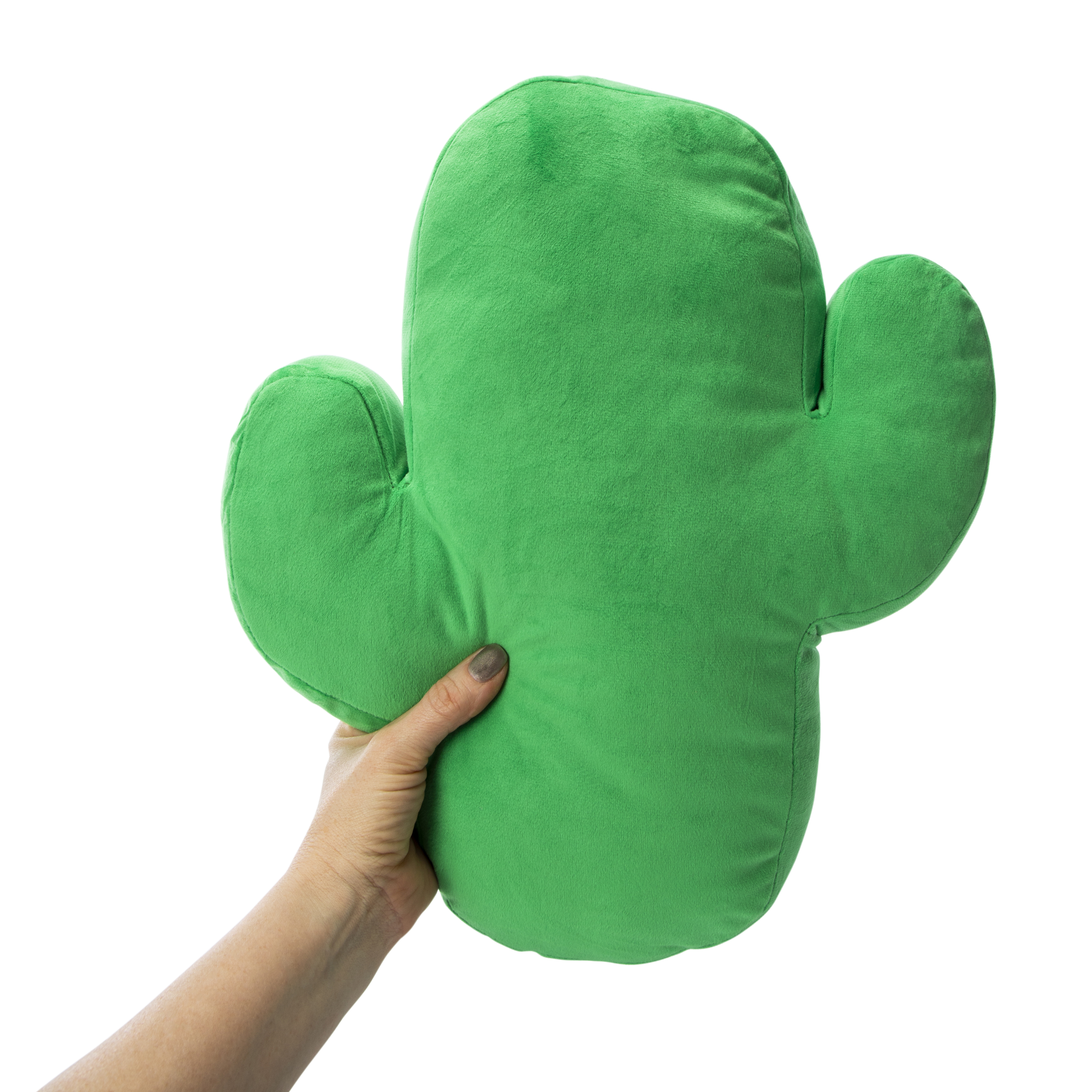 Cactus Outdoor Throw Pillow 12.2in x 15in