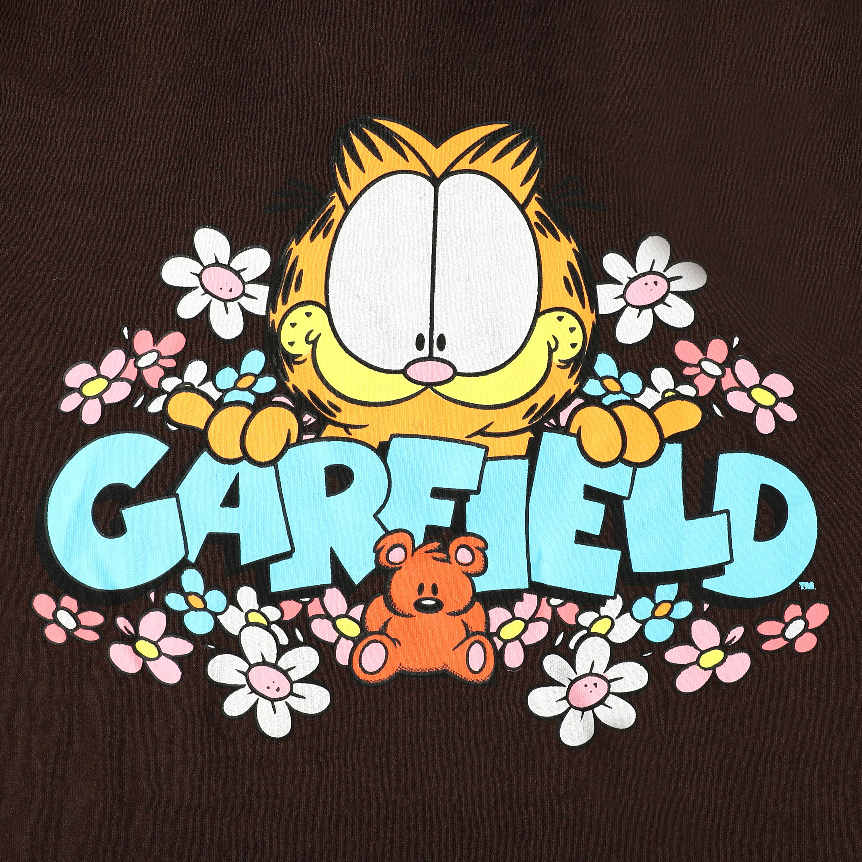 Garfield™ & Pooky Hoodie
