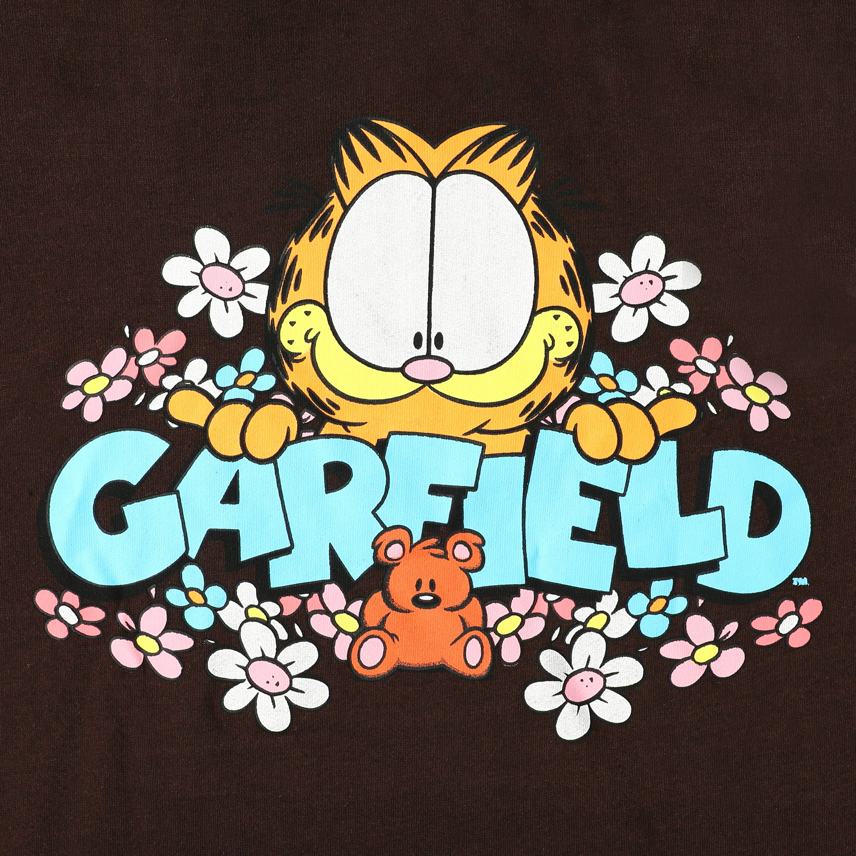 Garfield™ & Pooky Hoodie