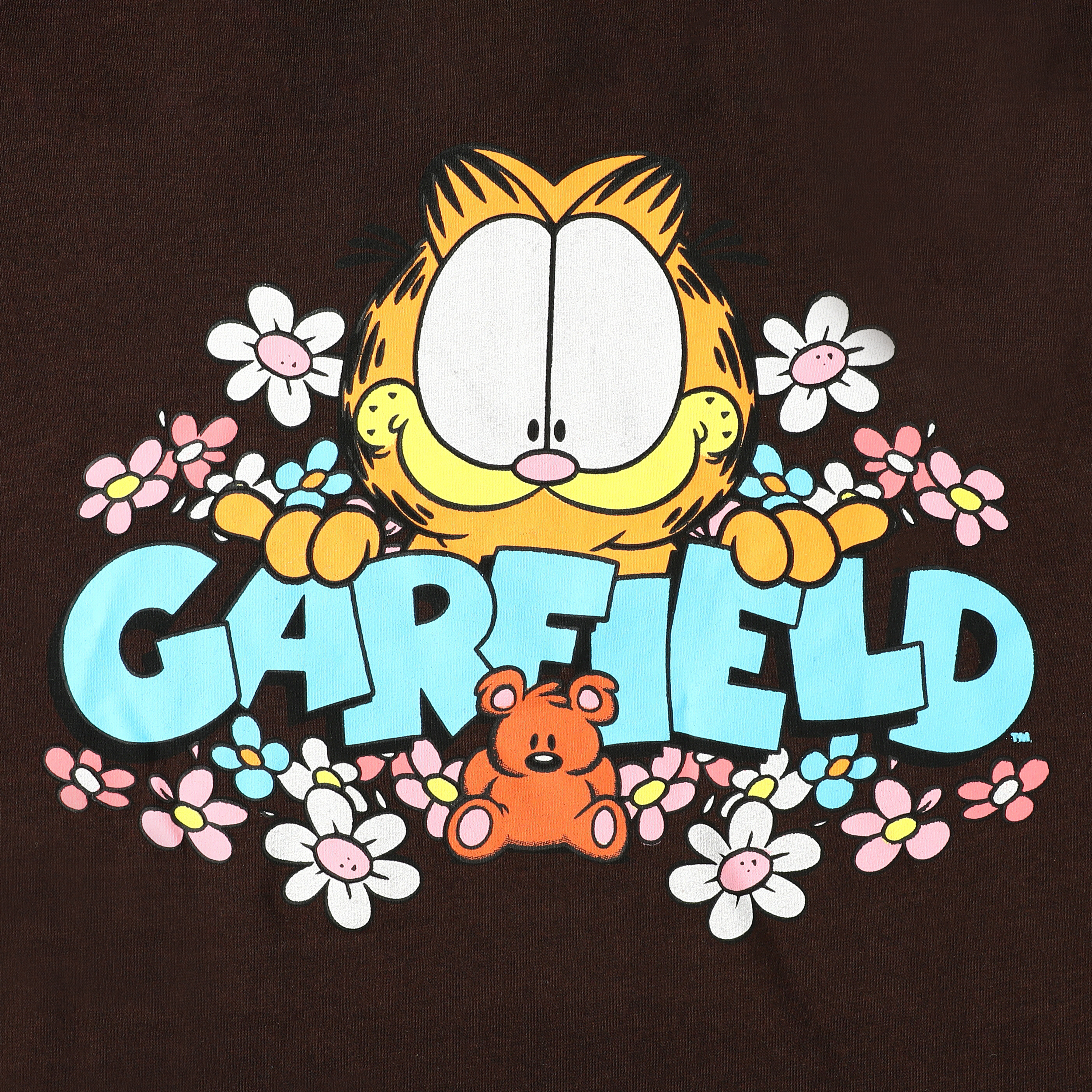 Garfield™ & Pooky Hoodie