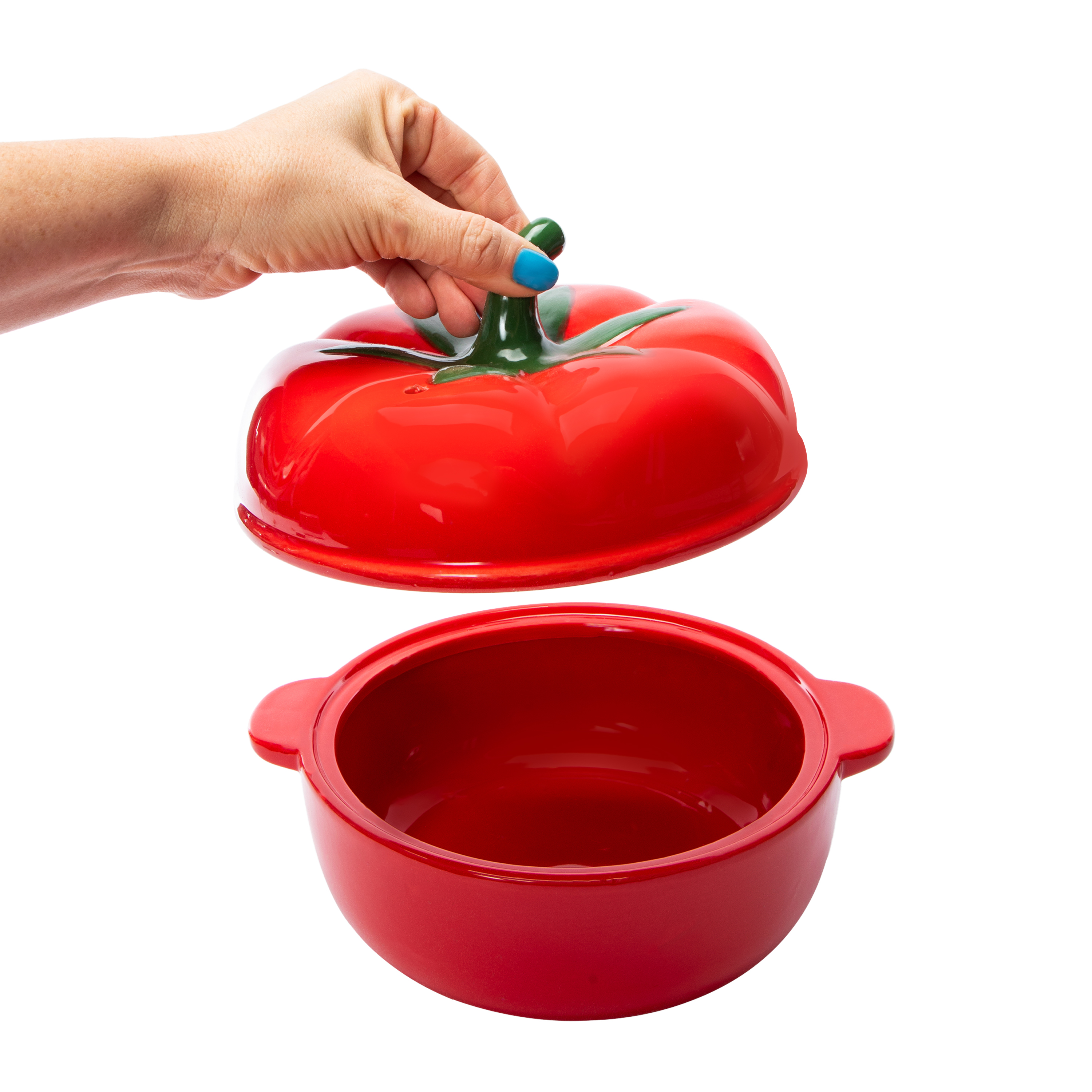 Ceramic Dumpling Pot Cookware With Lid 10in