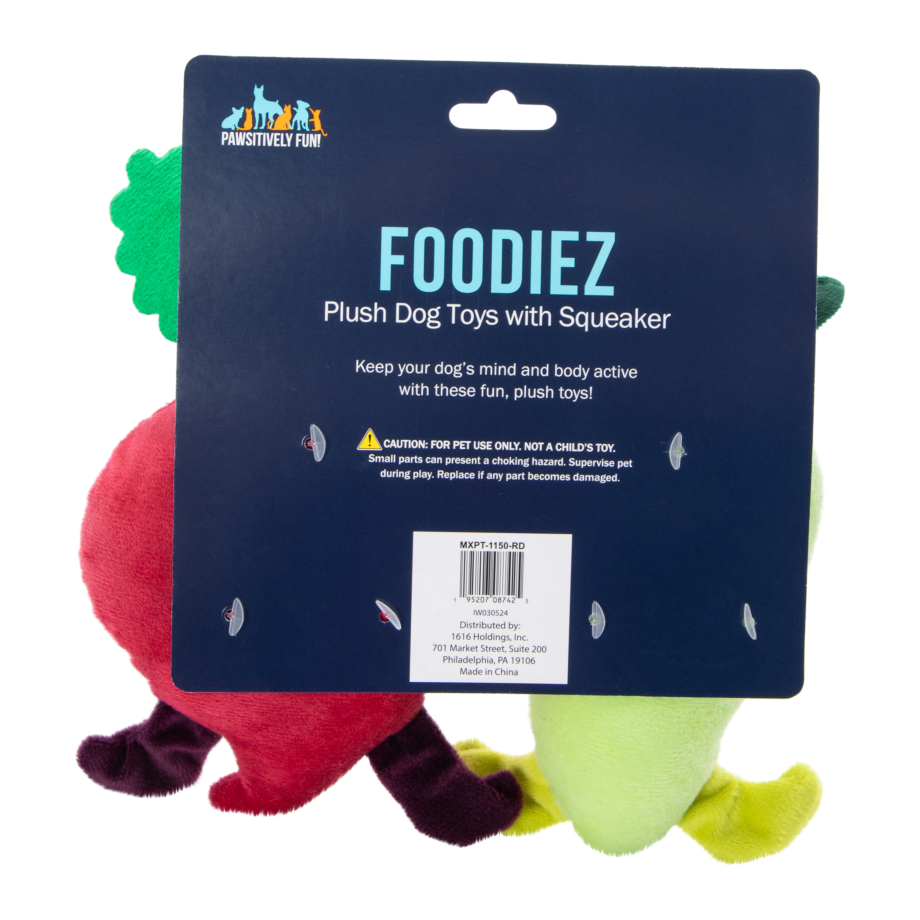 Veggie Plush Dog Toy 2-Count
