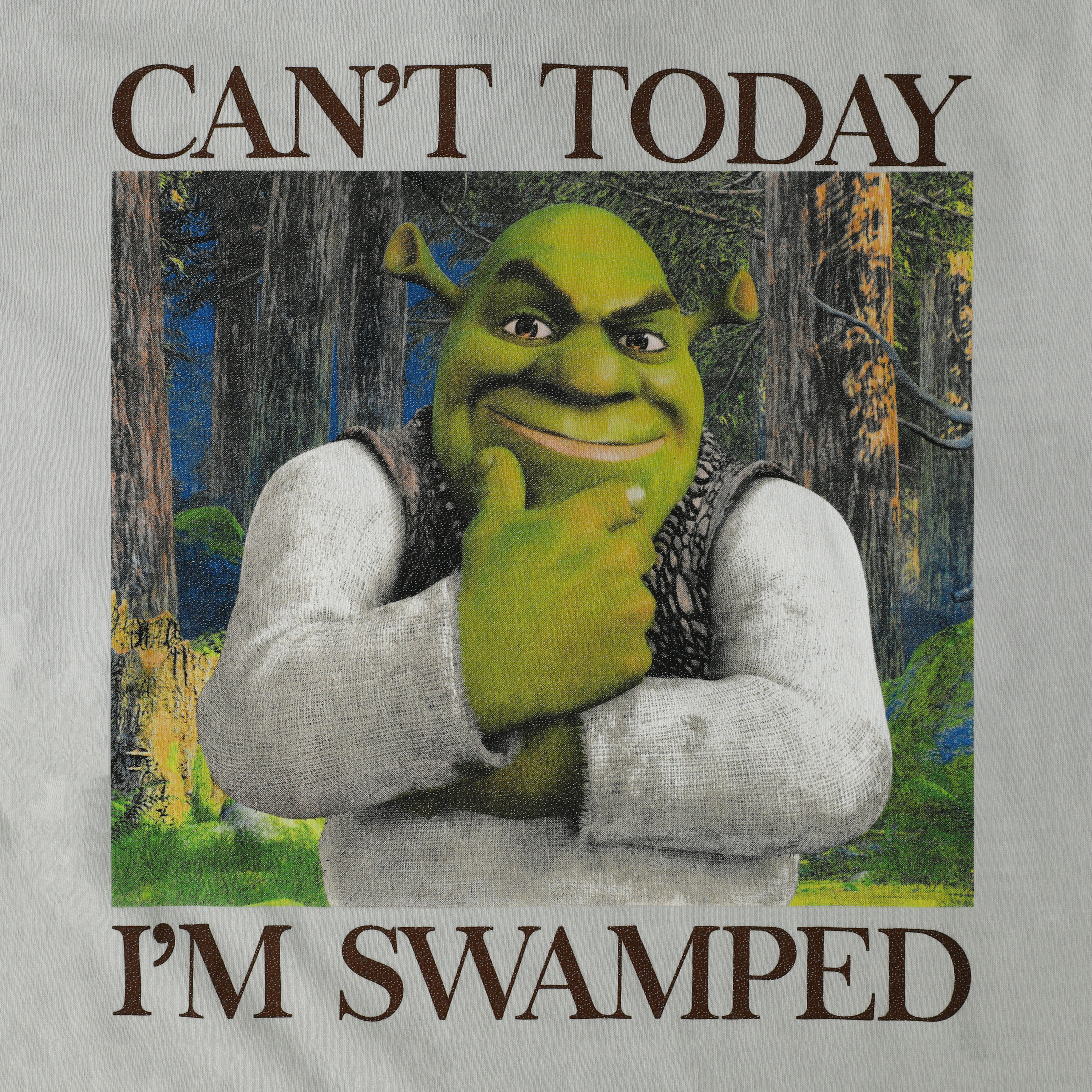 Dime Tシャツ　シュレック Shrek™ 'Can't Today I'm Swamped' Graphic Tee | Five Below