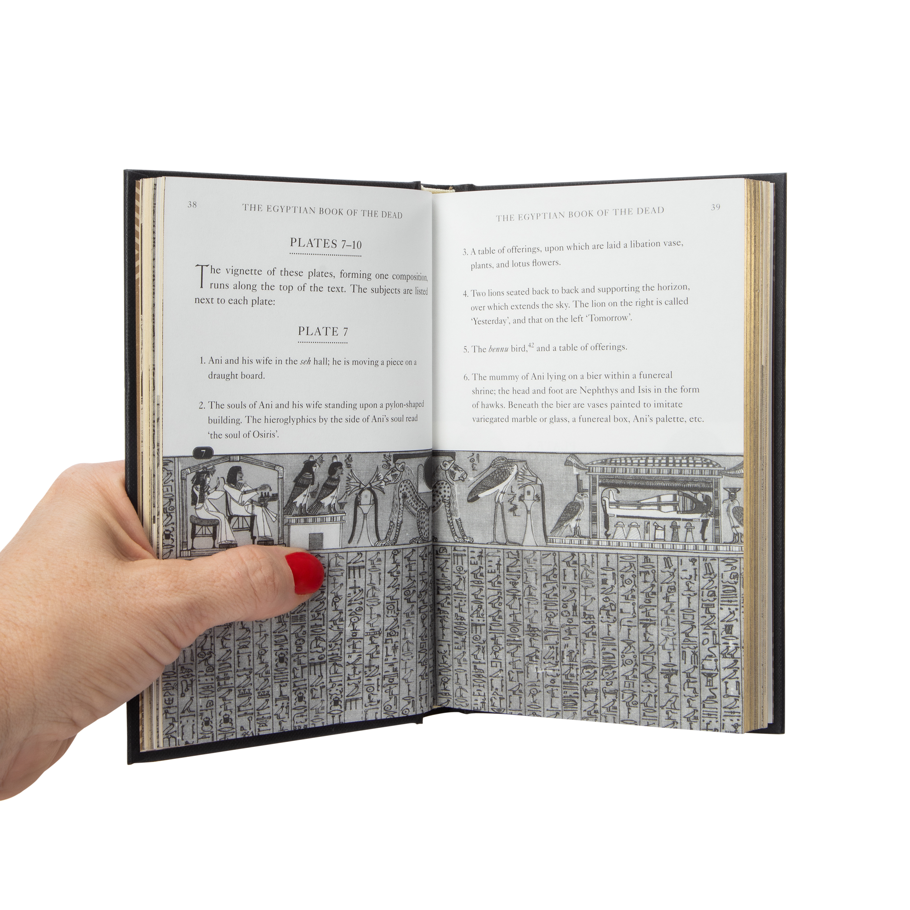 The Egyptian Book Of The Dead