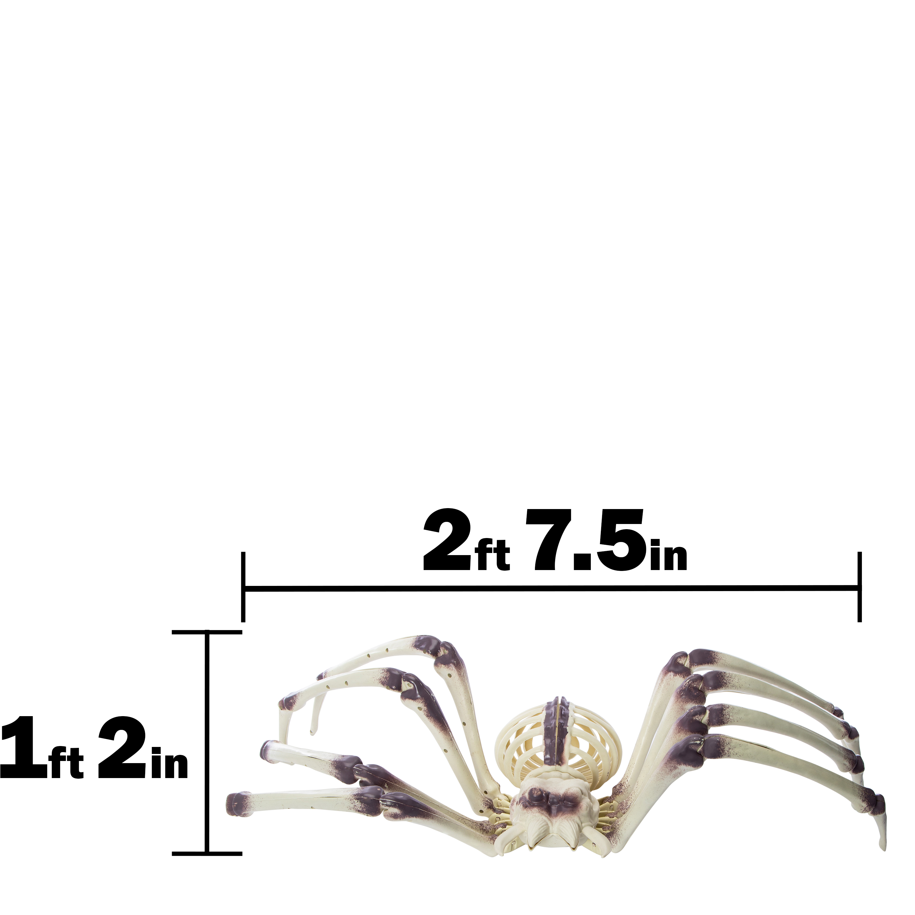 XL Skeleton Spider Halloween Decor 31.5in x 14.9in