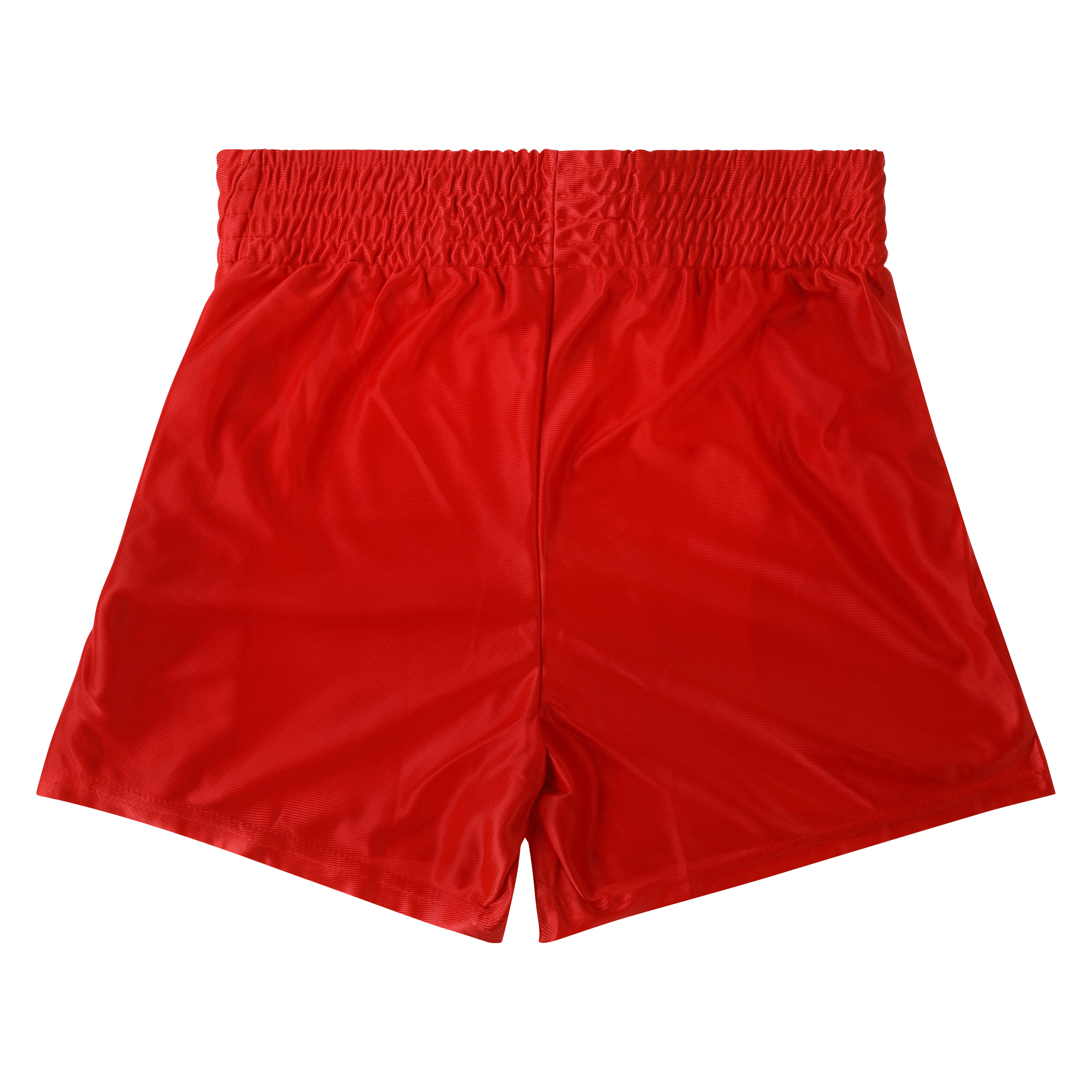 ボクシング EVERLAST MASTERMIND WORLD BOXING SHORTS EVERLAST MASTERMIND WORLD BOXING SHORTS