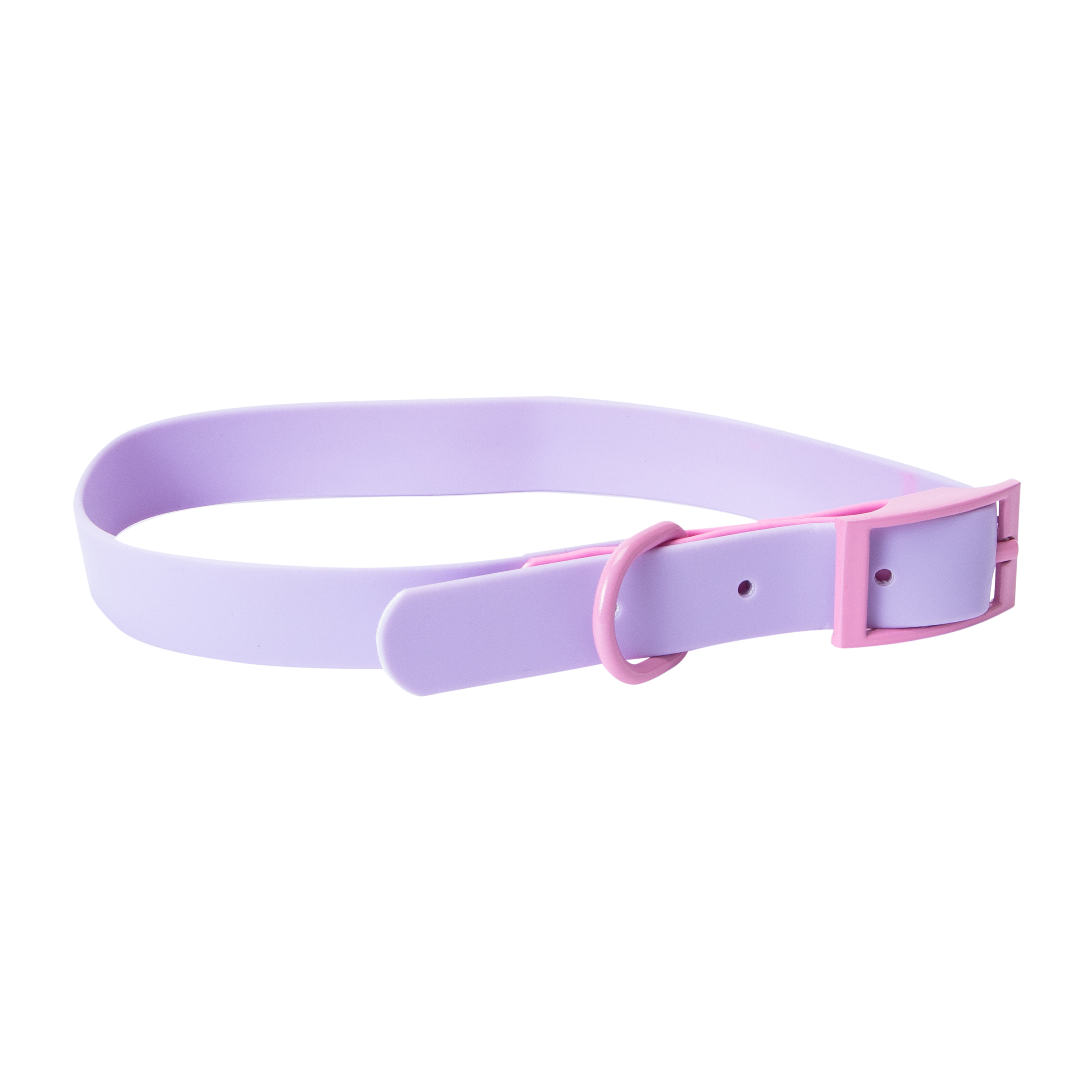 Pawsitively Fun! Pet Collar