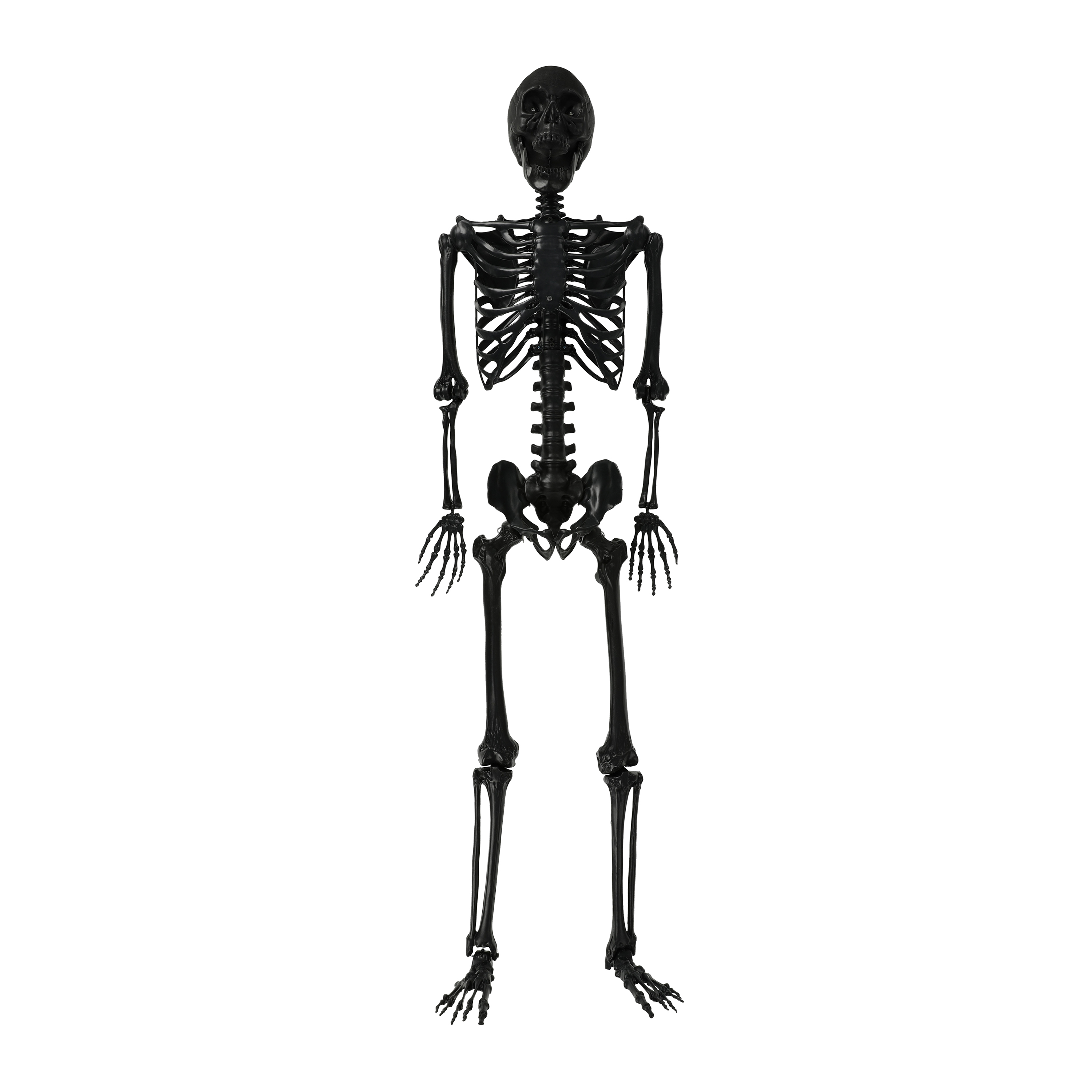LED Skeleton Halloween Decor 5.5ft