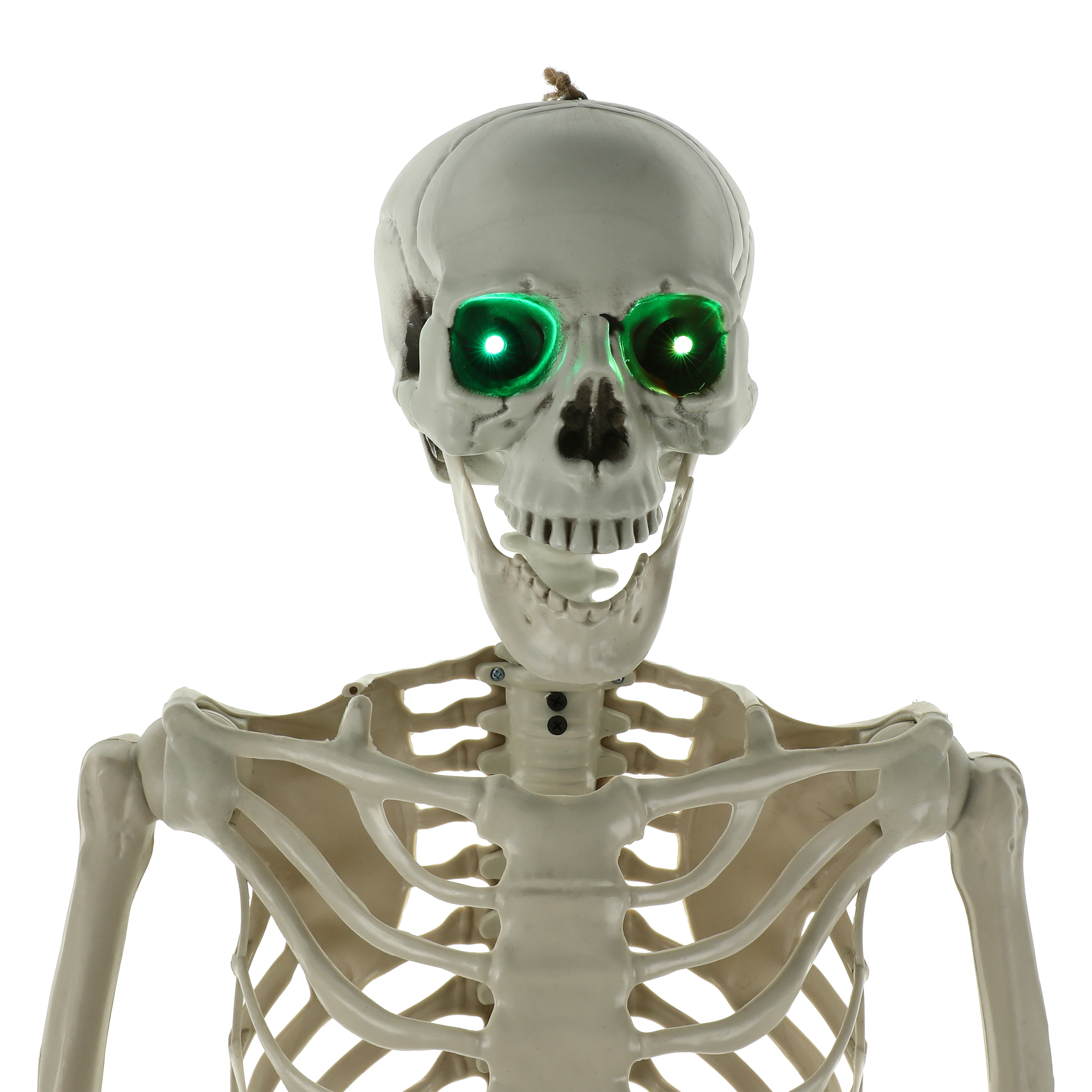 LED Skeleton Halloween Decor 5.5ft