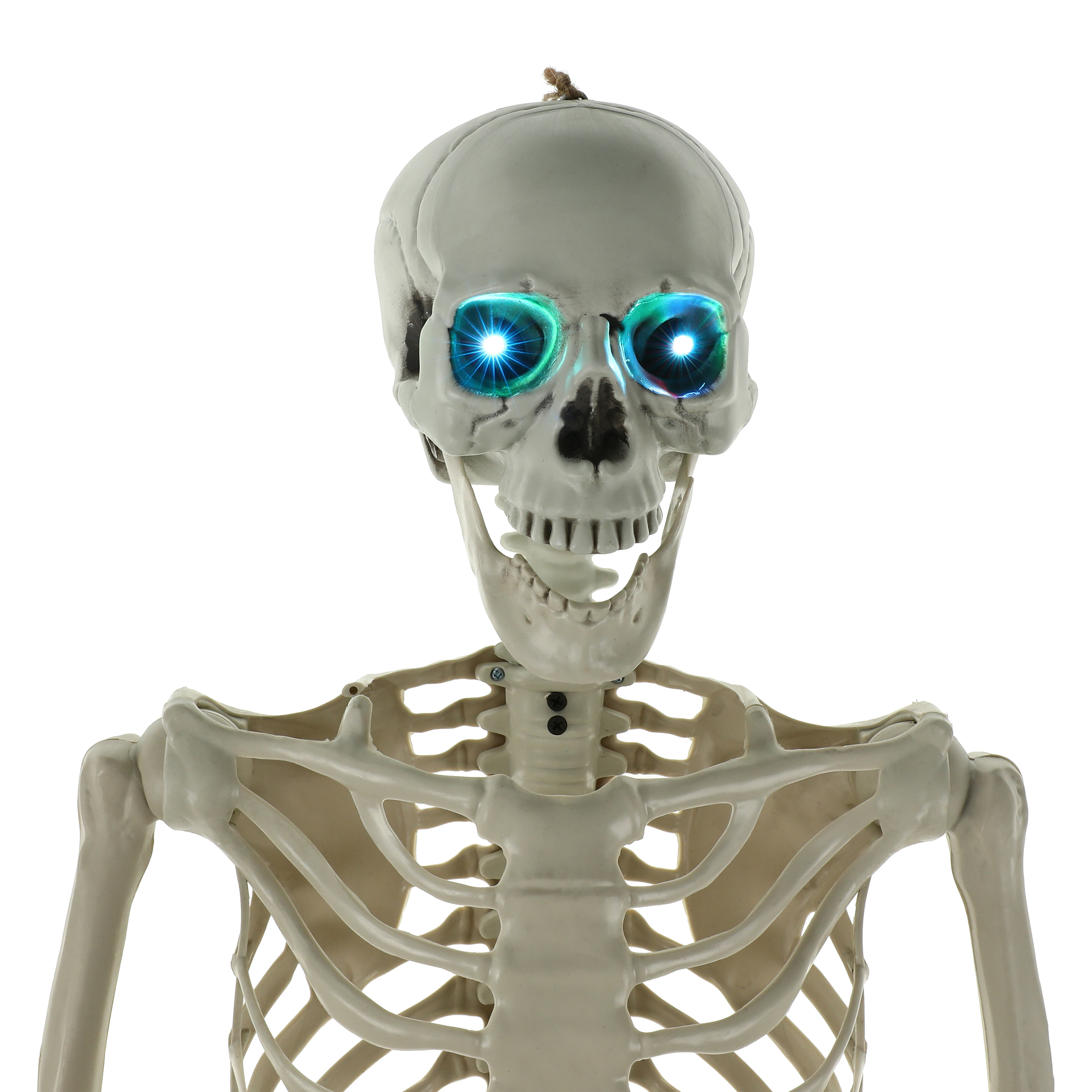 LED Skeleton Halloween Decor 5.5ft