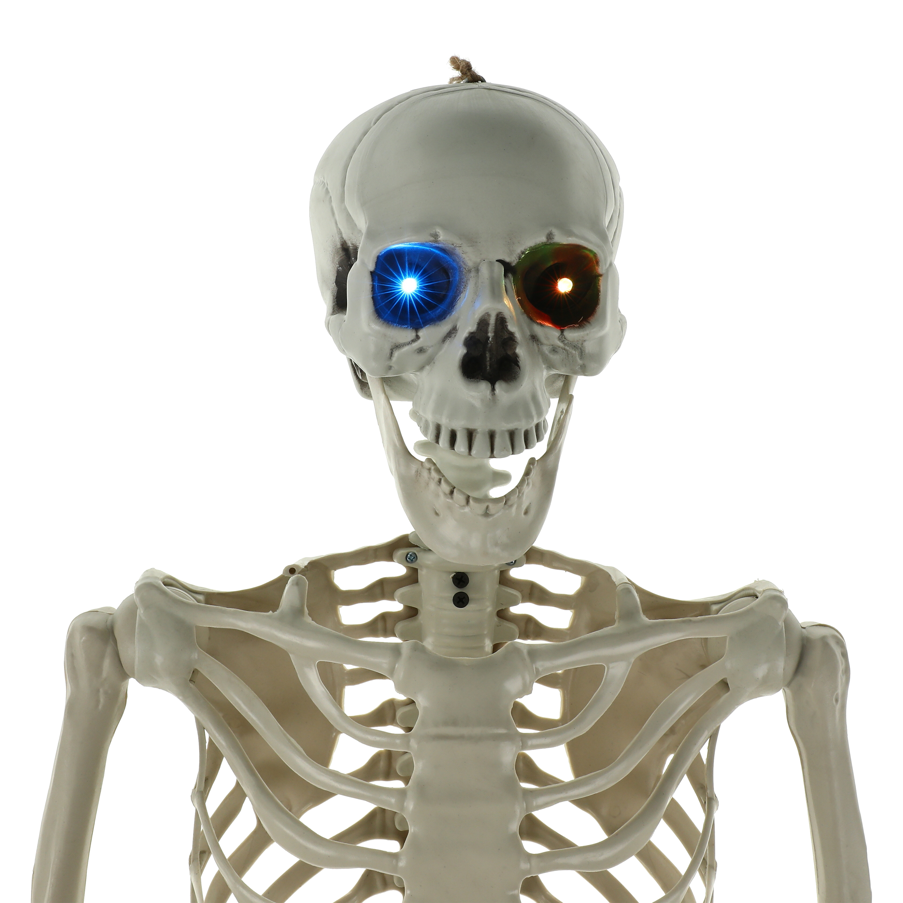 LED Skeleton Halloween Decor 5.5ft