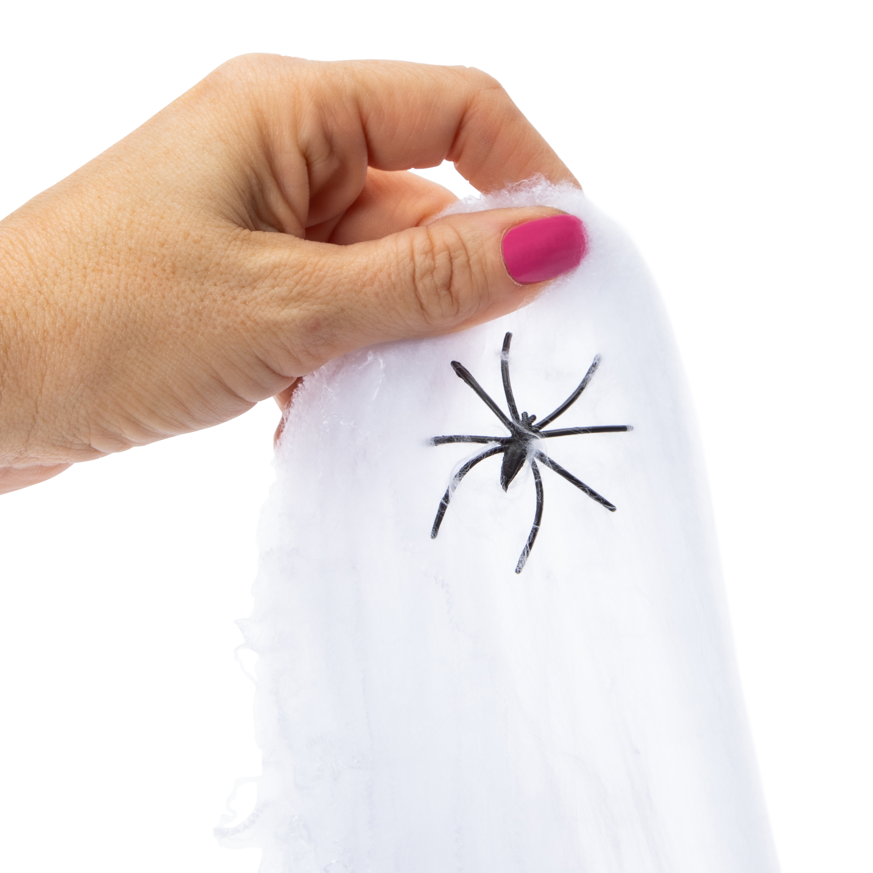 Giant Spider Web Net With Spiders