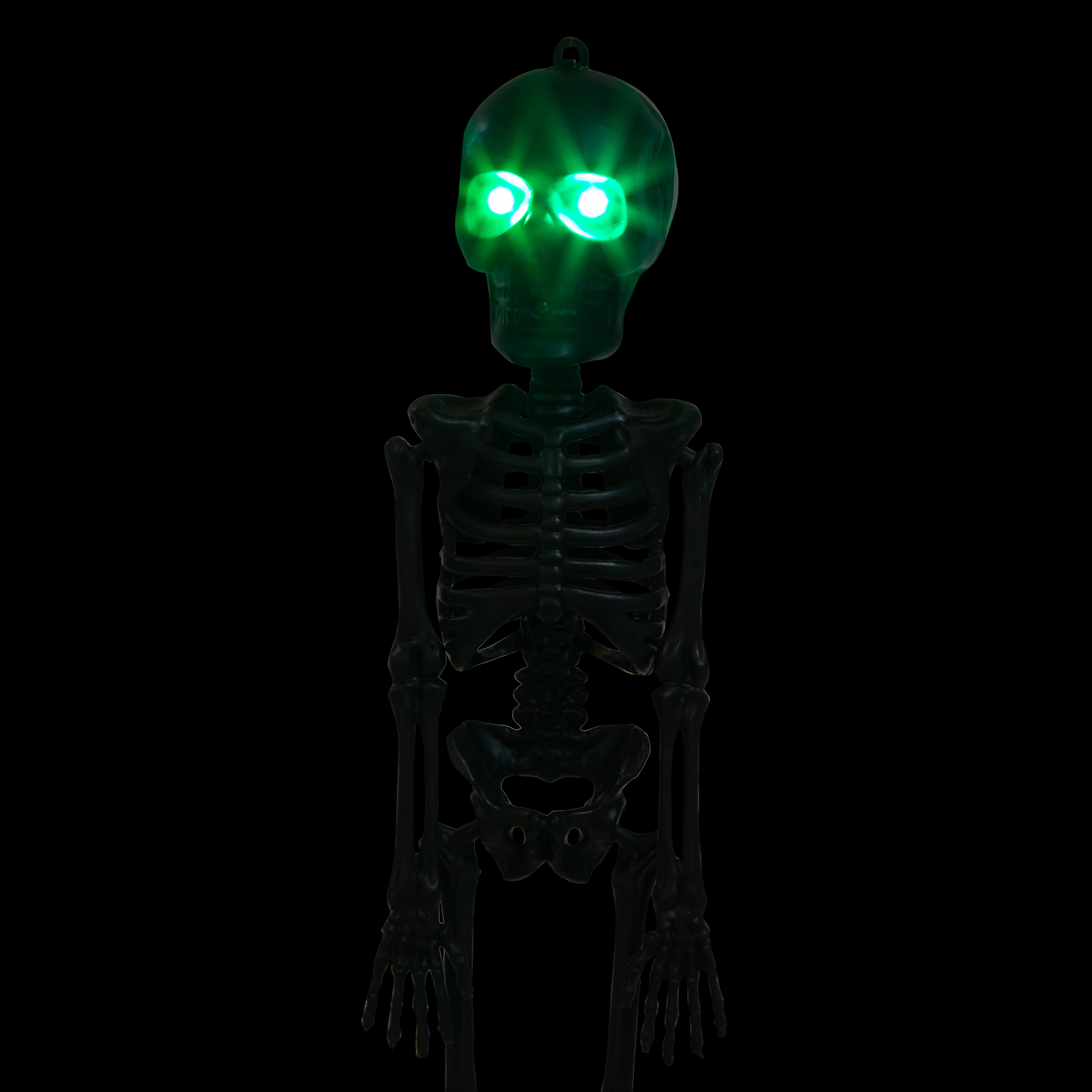 Skeleton Base Phantom Glow Amon 約30cm SOMSO Artificial Human Skeleton with Roller Stand