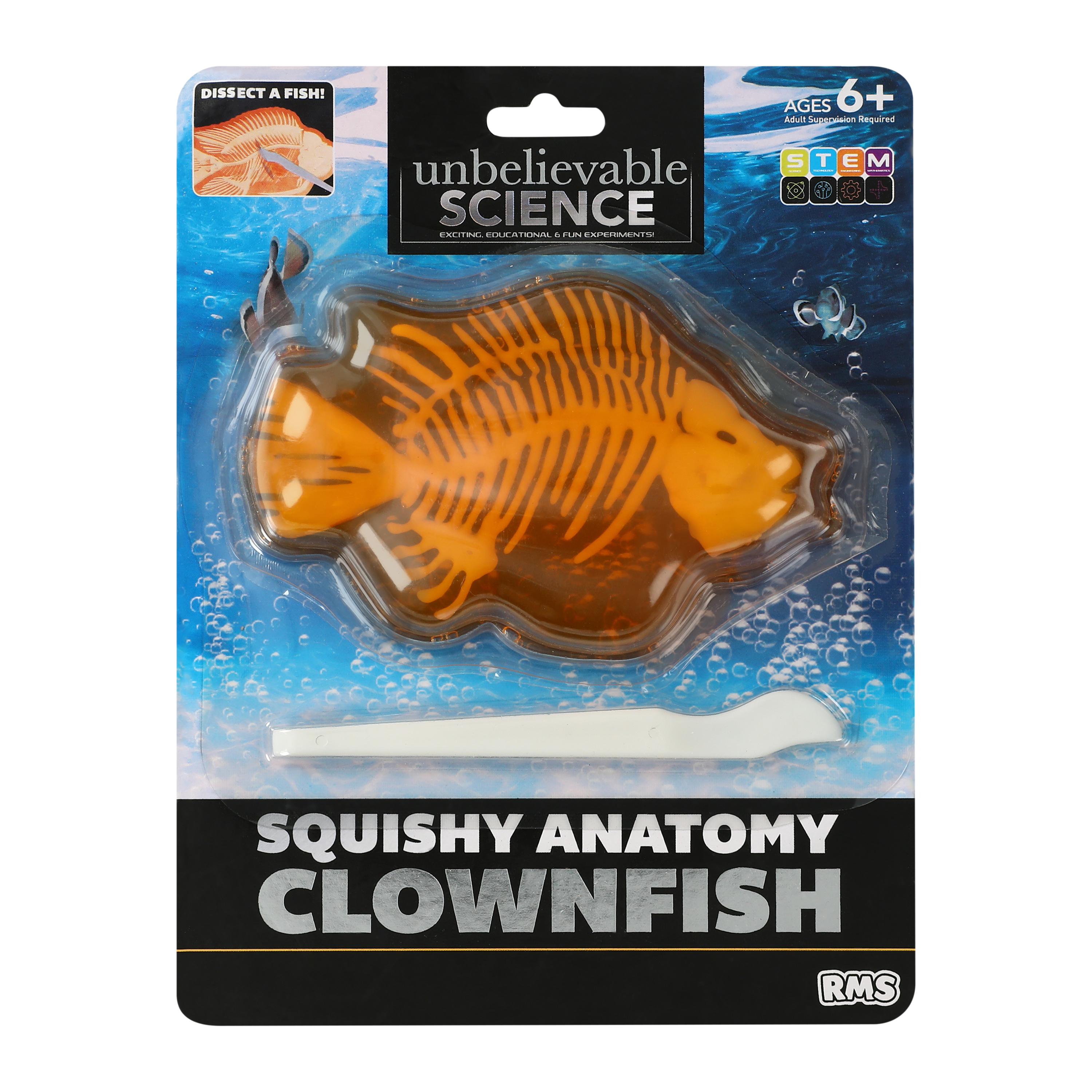 Unbelievable Science Squishy Anatomy | Five Below