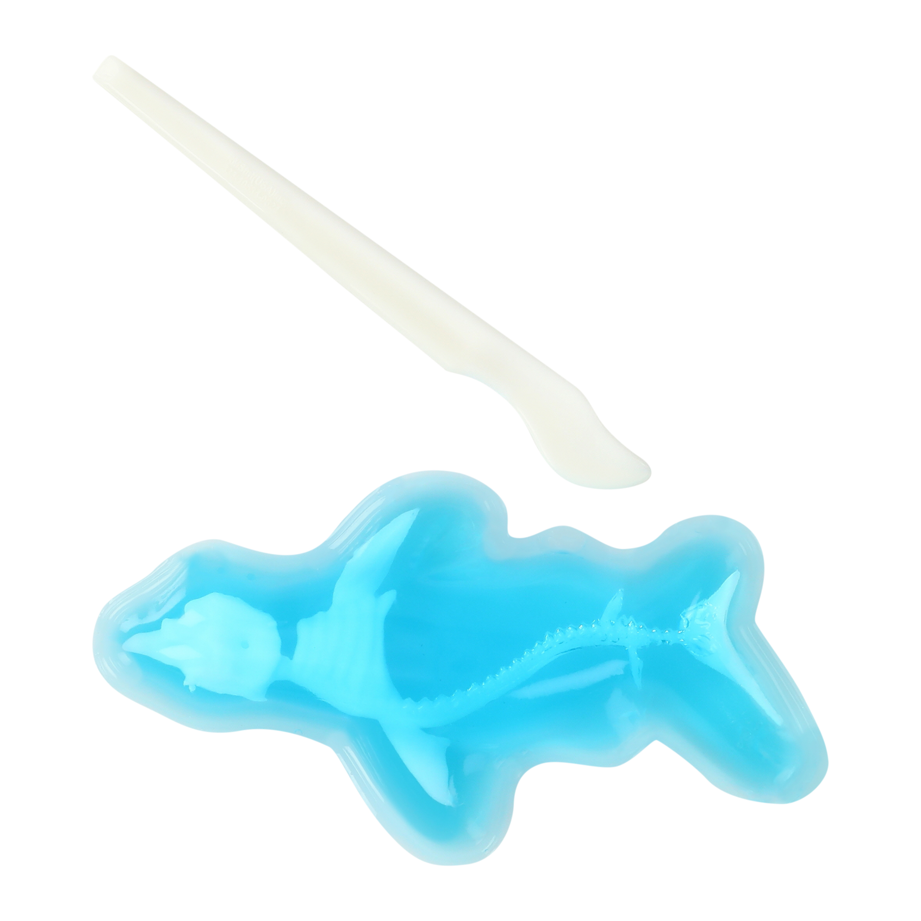 Unbelievable Science Squishy Anatomy