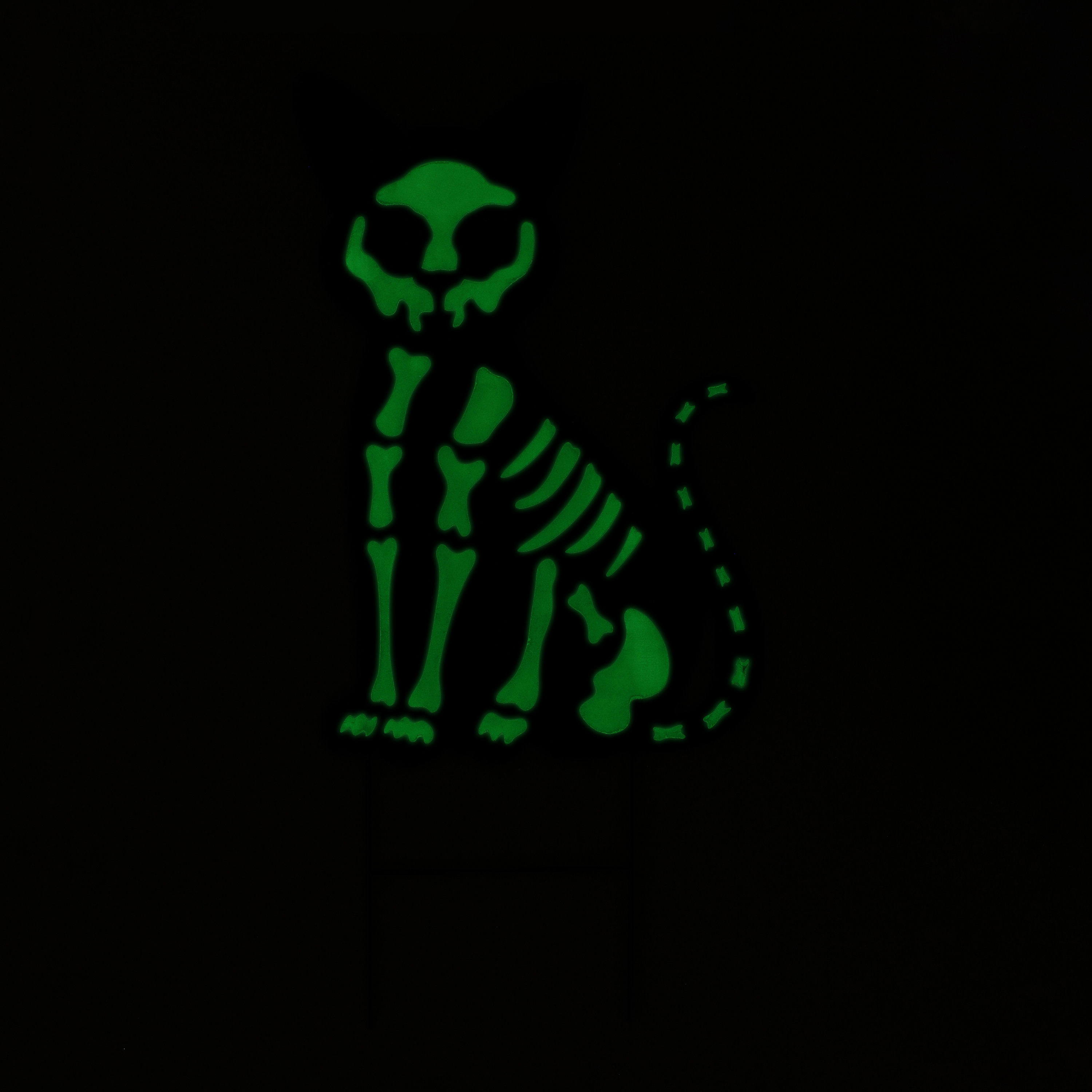 Glow In The Dark Skeleton Cat Yard Stake 29.92in