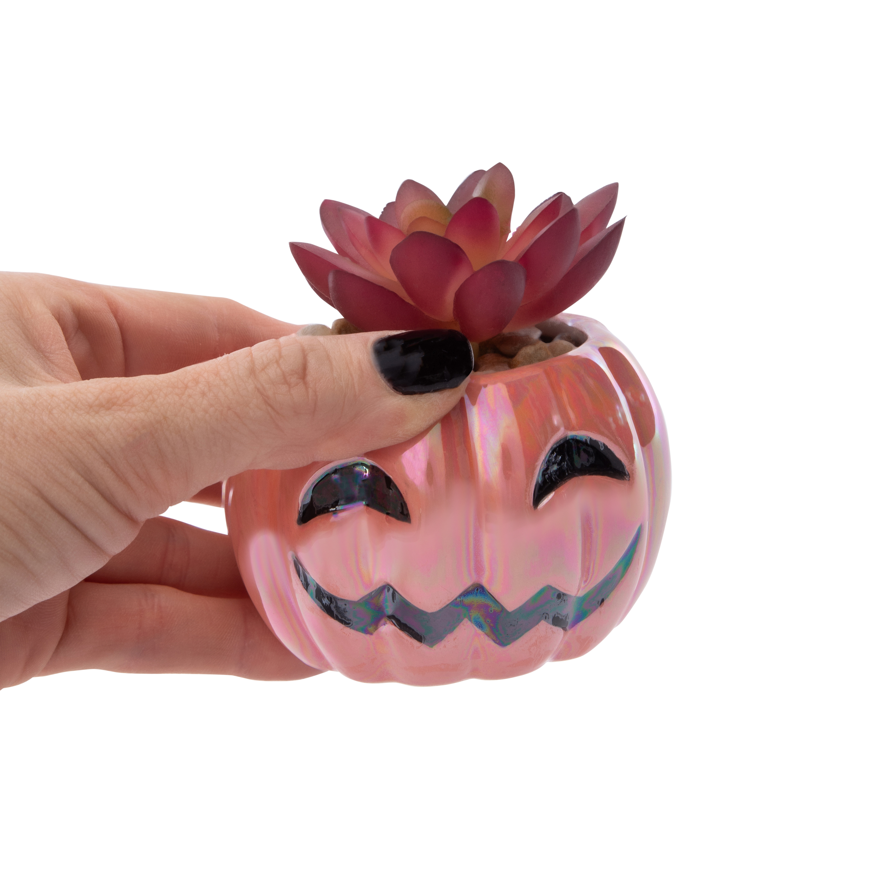 Pumpkin Faux Succulent