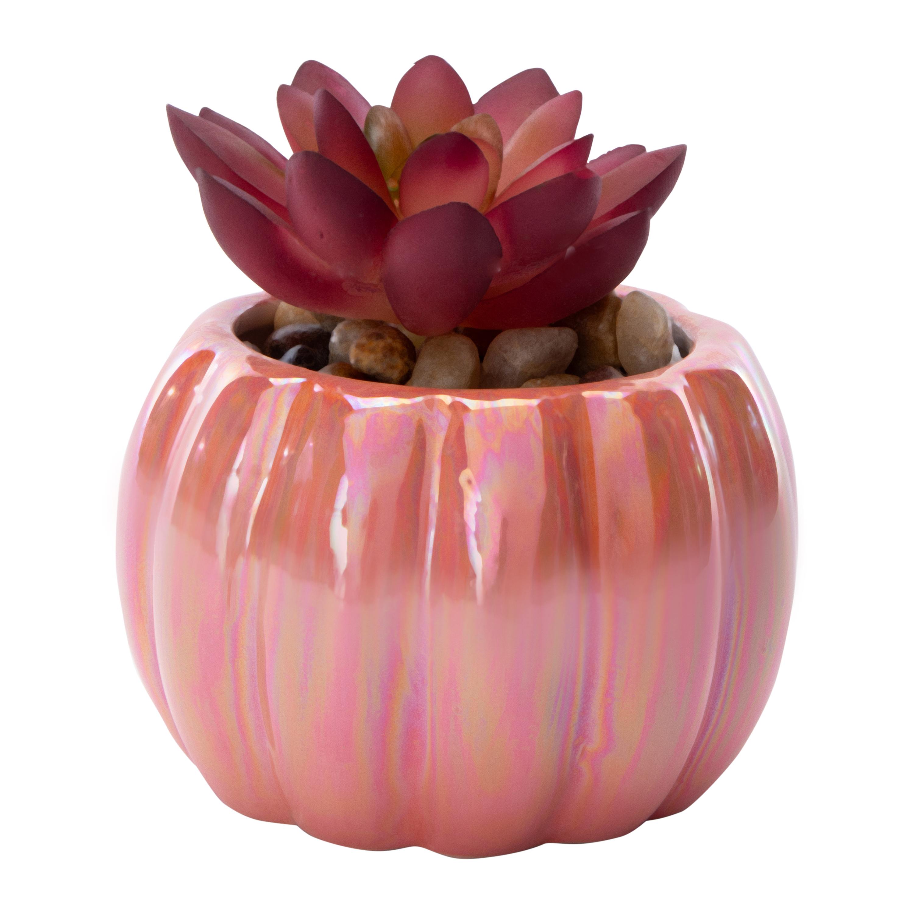 Pumpkin Faux Succulent