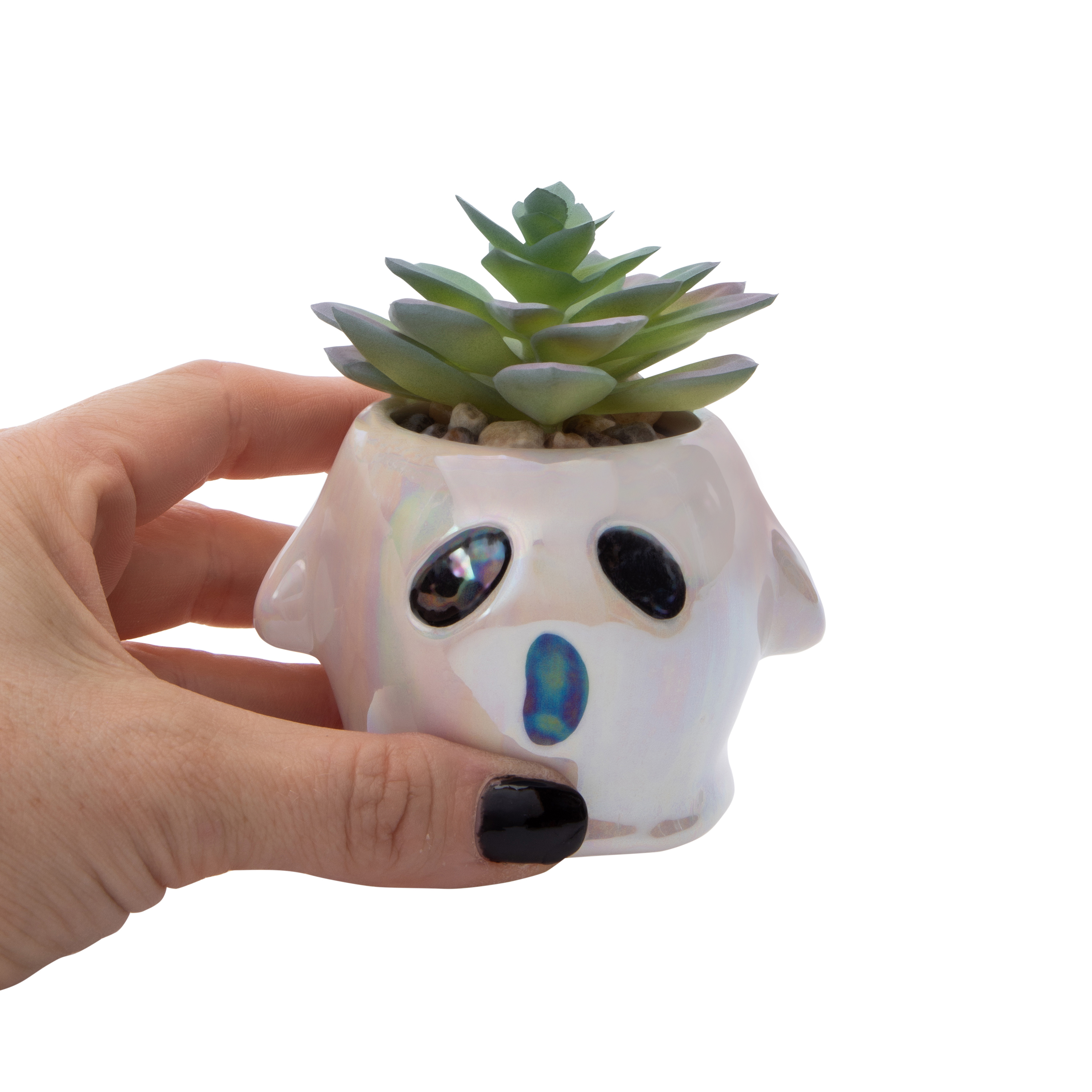 Ghost Faux Succulent