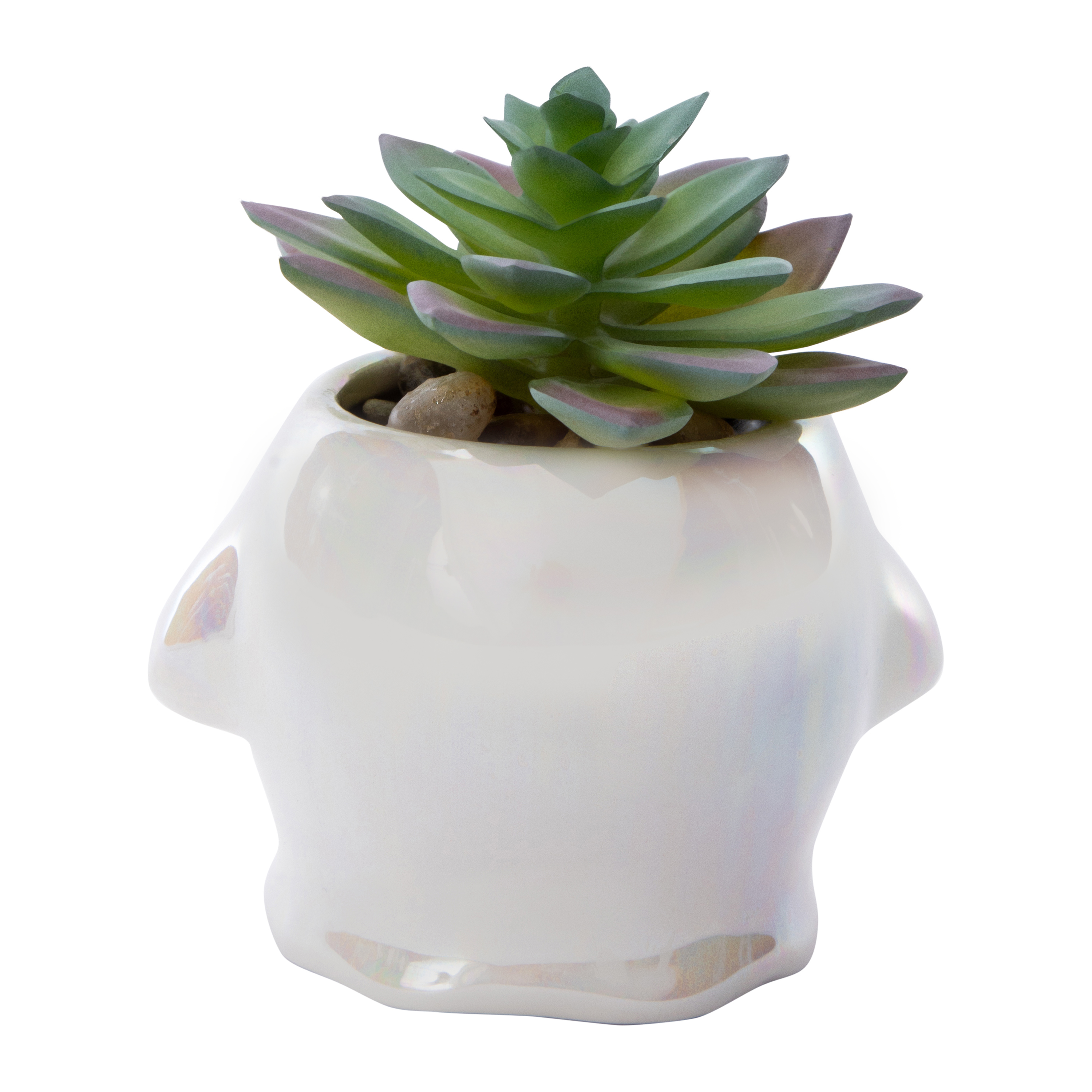 Ghost Faux Succulent