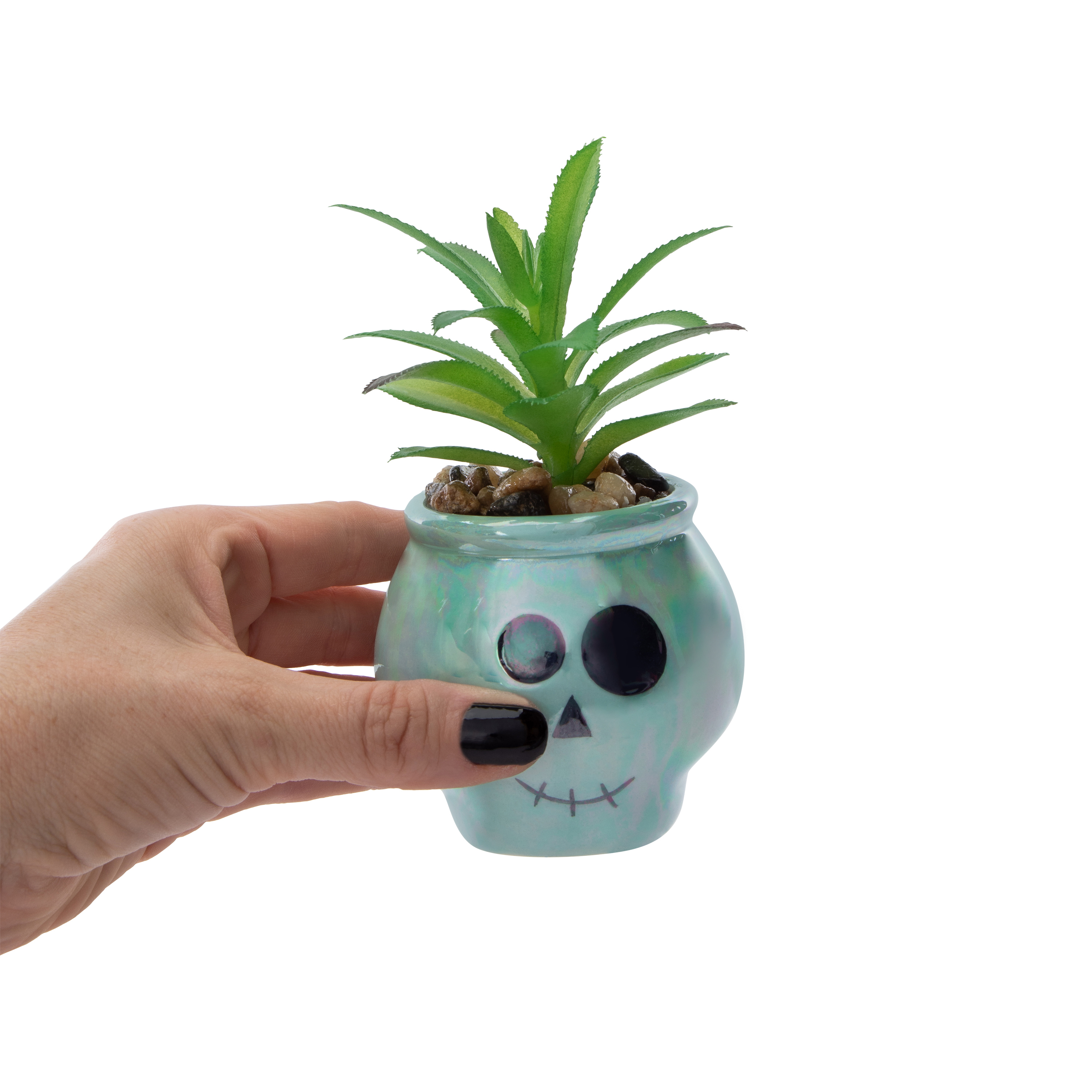 Skull Faux Succulent