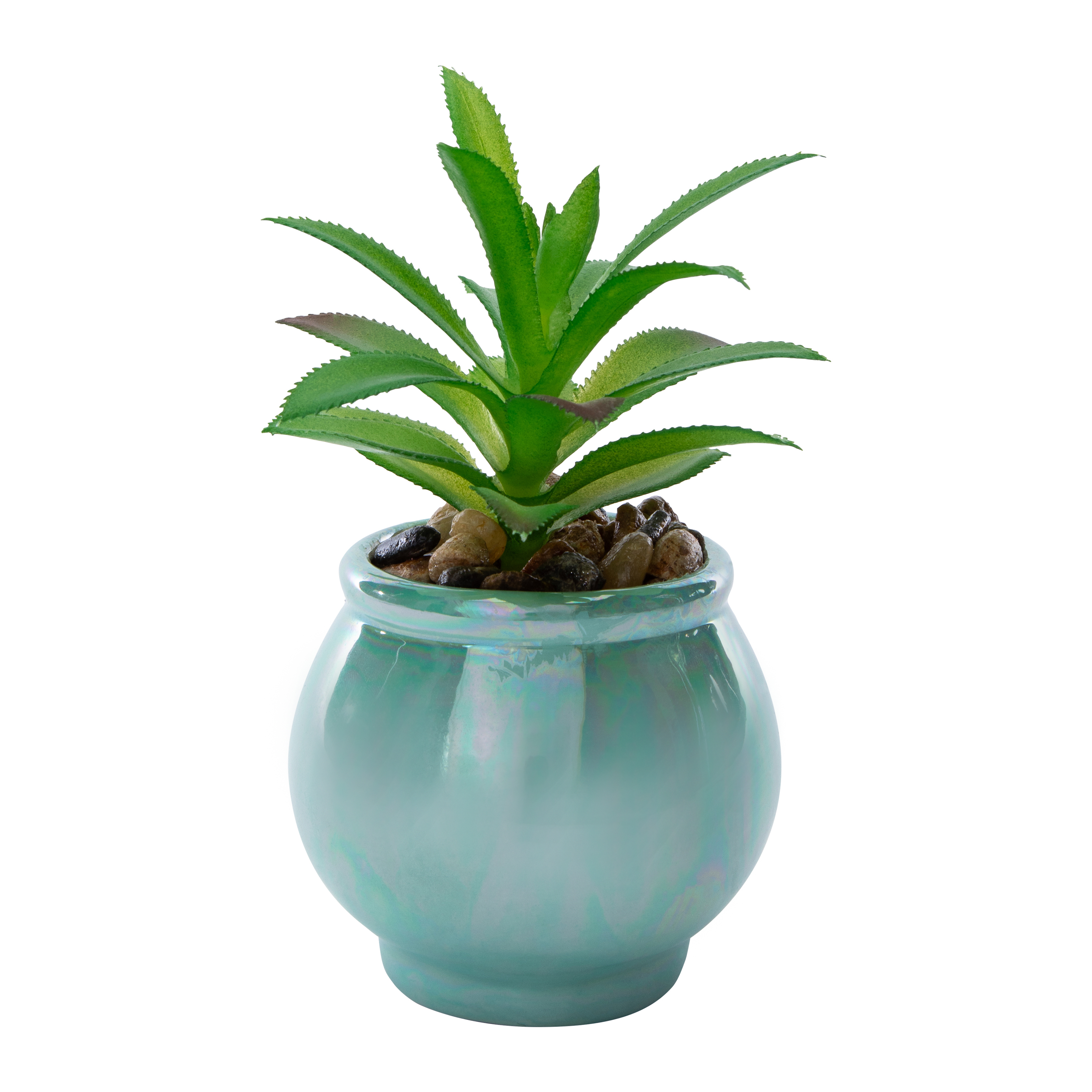 Skull Faux Succulent | Five Below