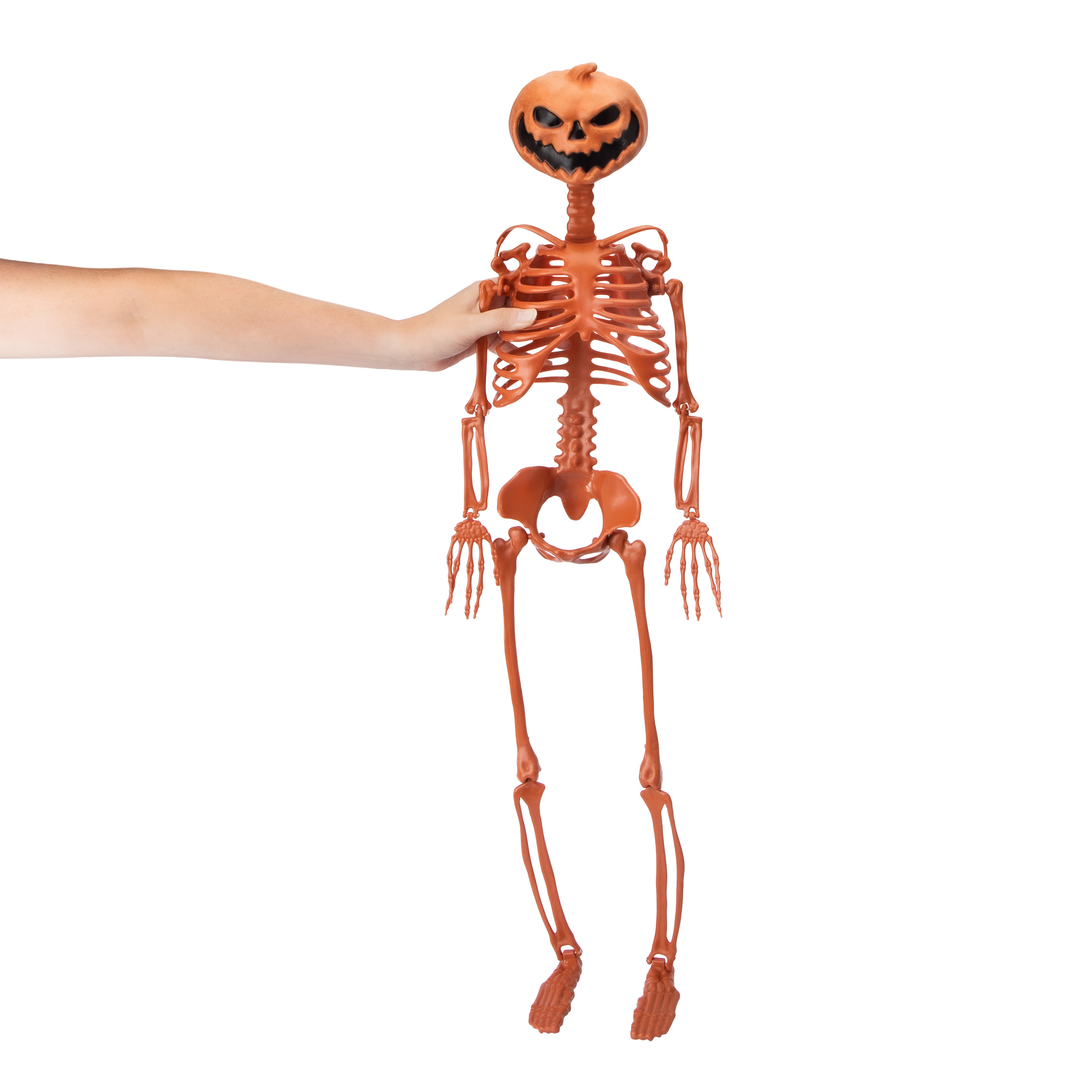 3ft Halloween Skeleton