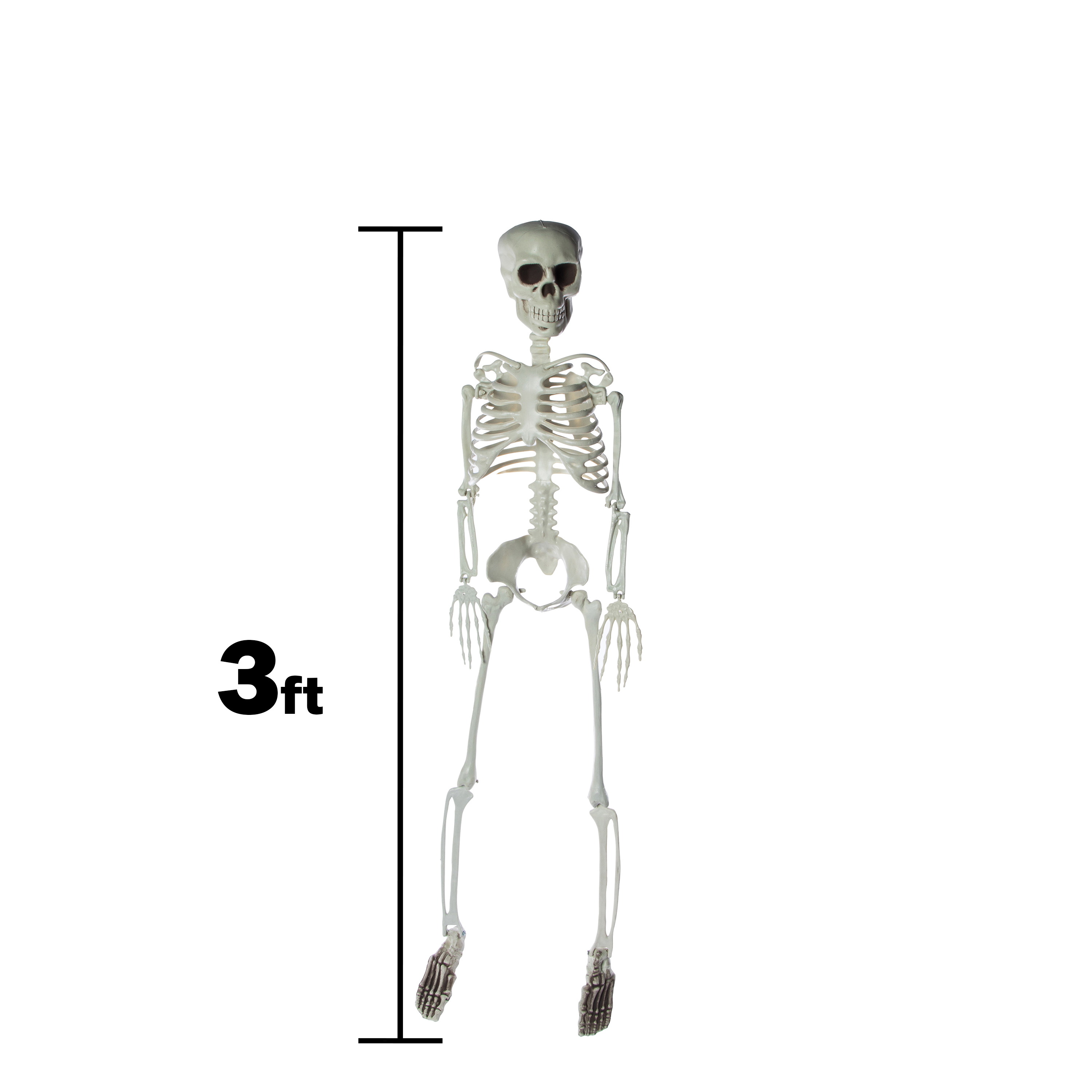 3ft Halloween Skeleton