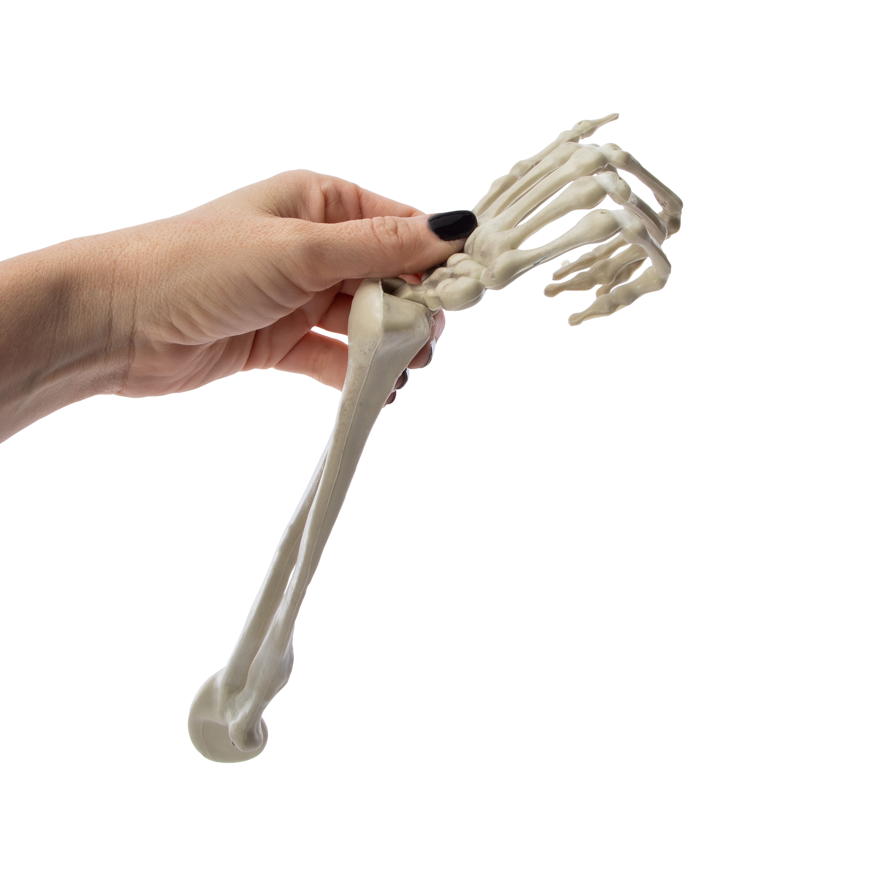 Halloween Skeleton Bone Decor