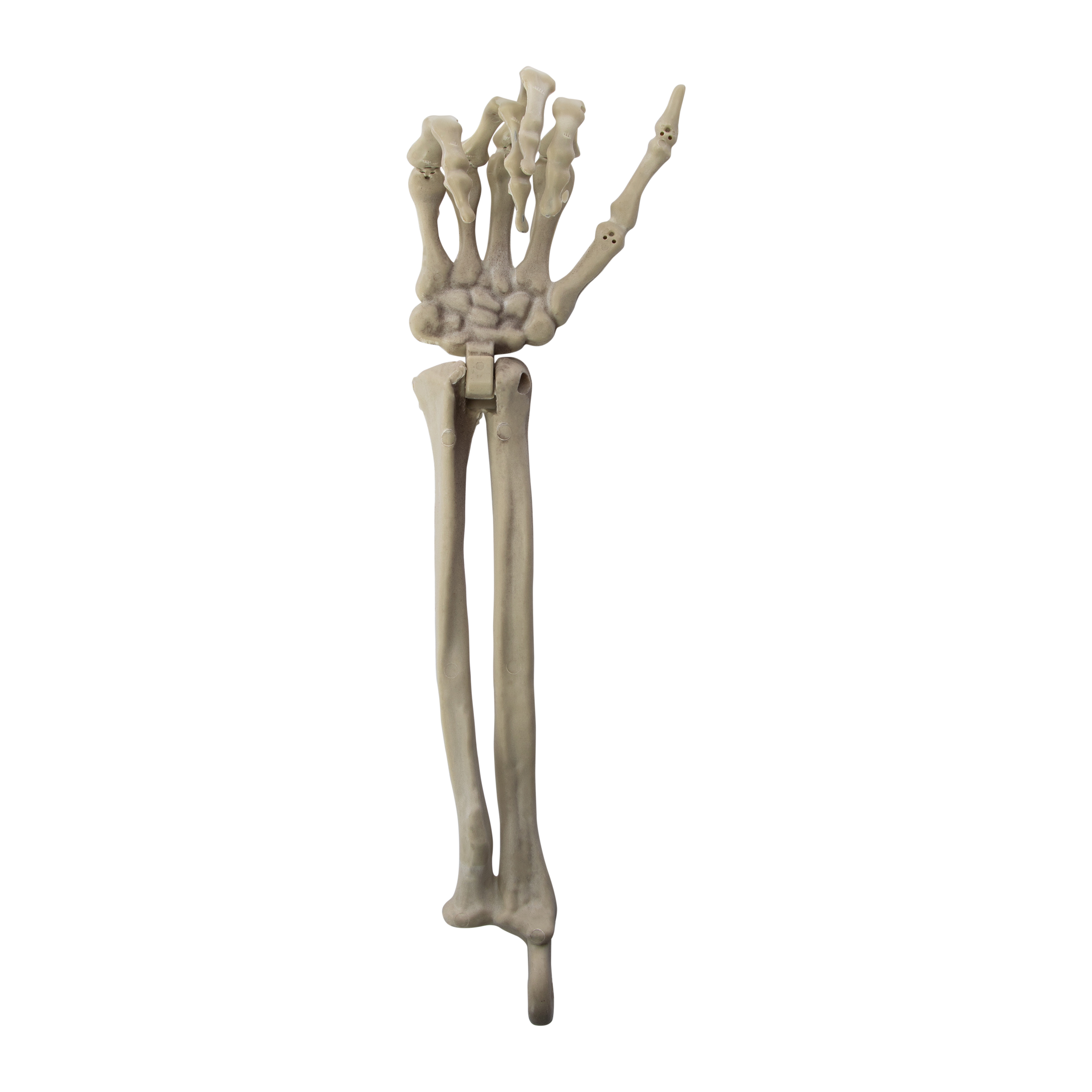 Halloween Skeleton Bone Decor