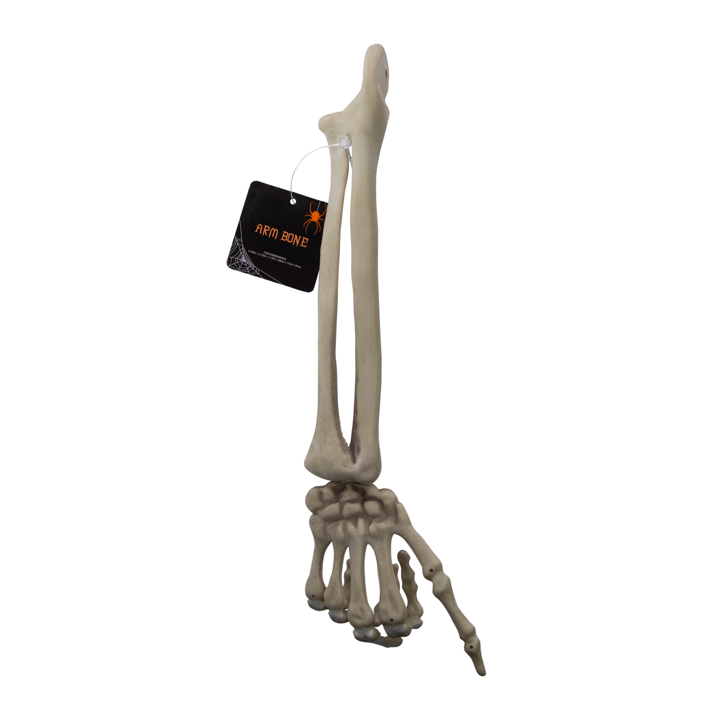 Halloween Skeleton Bone Decor