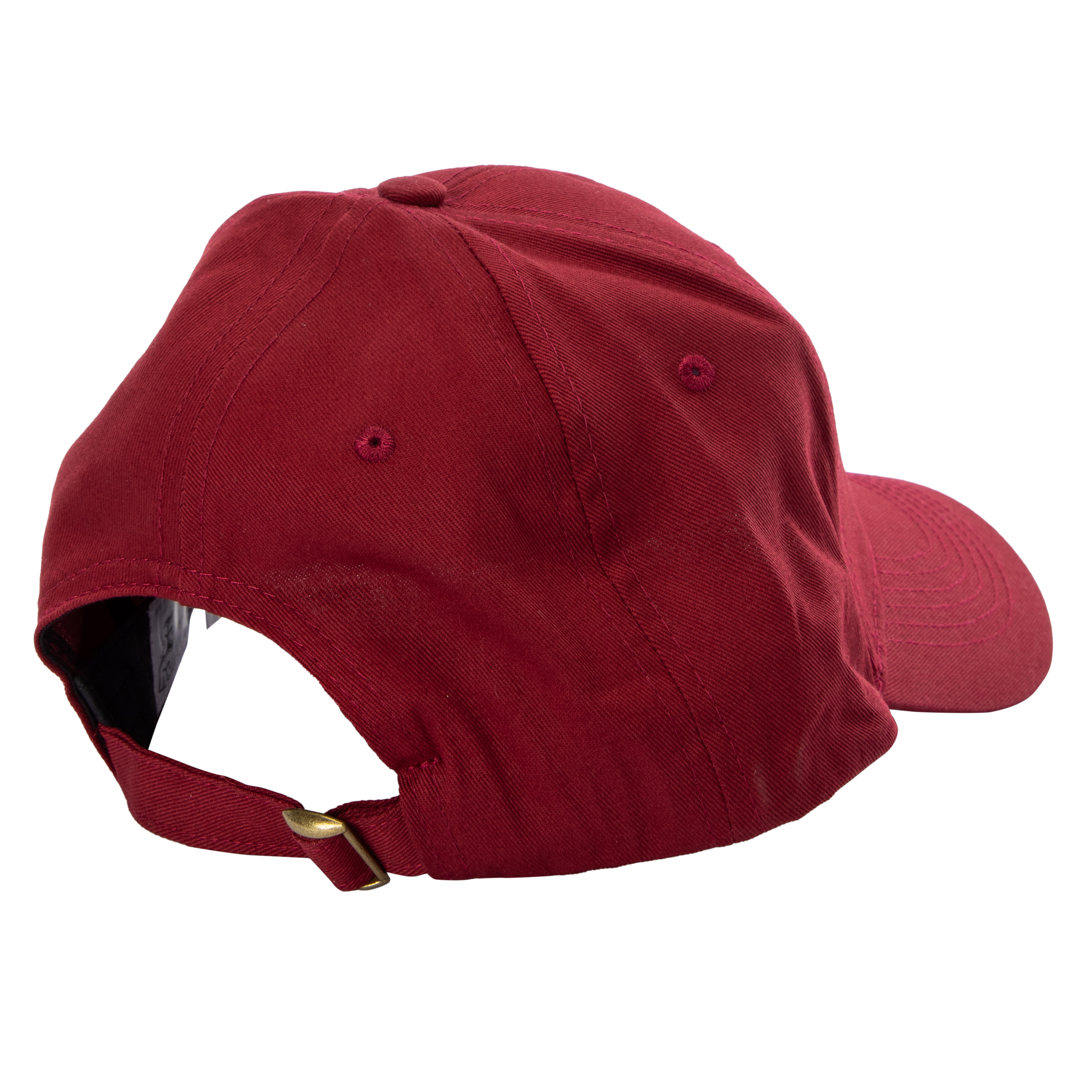 Looney Tunes 'Team USA' Baseball Cap