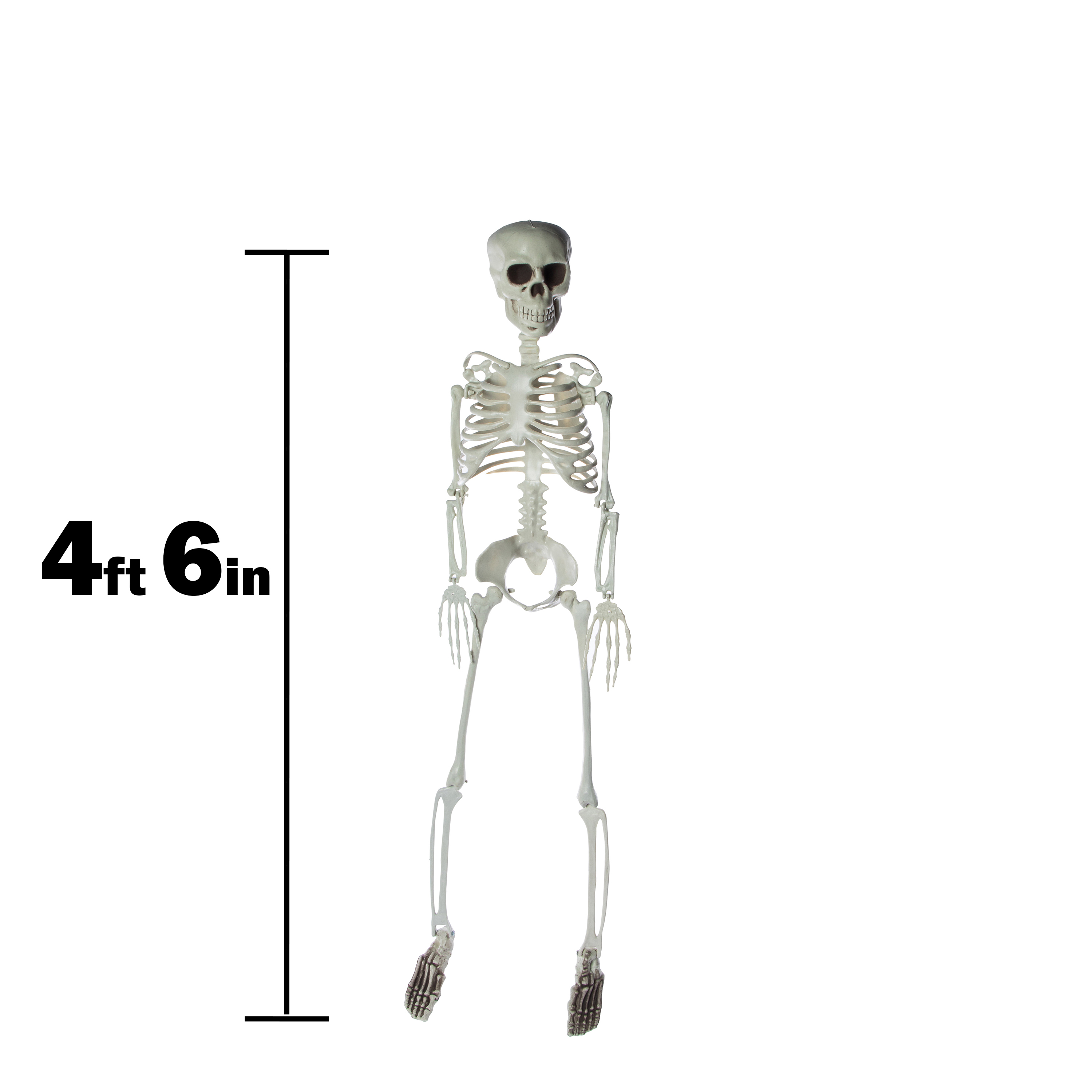 Posable Skeleton Halloween Decor 4.5ft