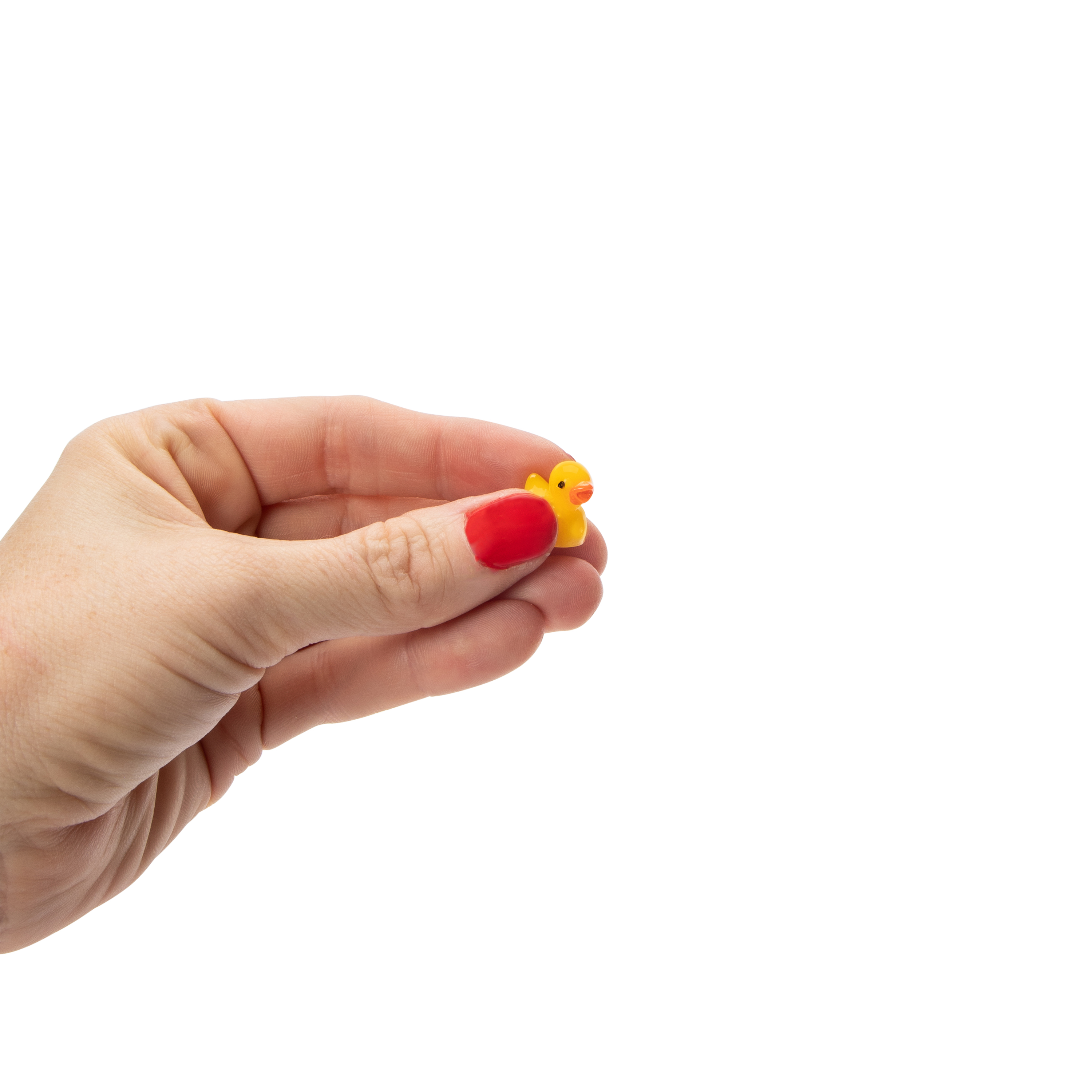 Hide-A-Duck Mini Rubber Ducks 25-Count