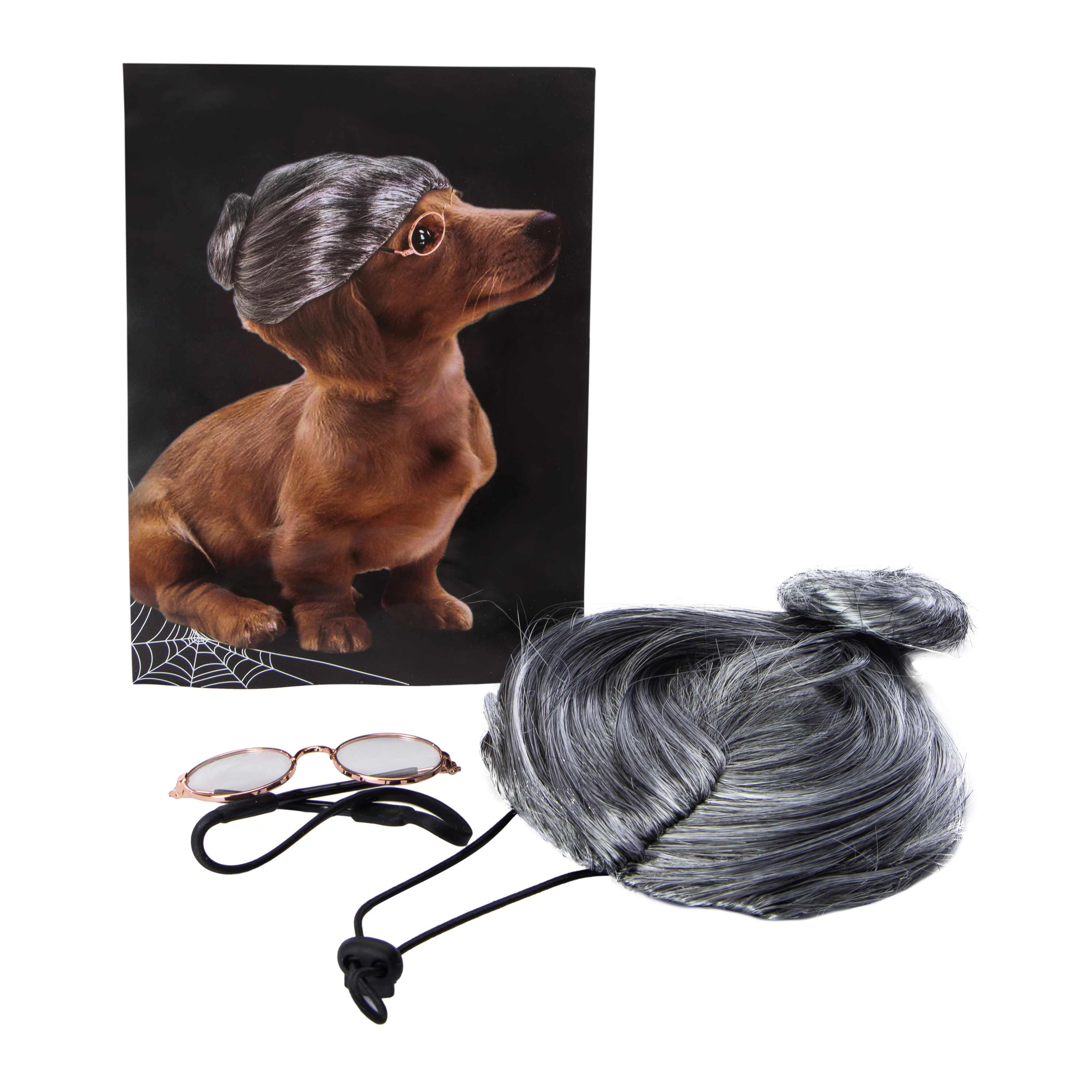 Pet Costume Granny Wig & Glasses