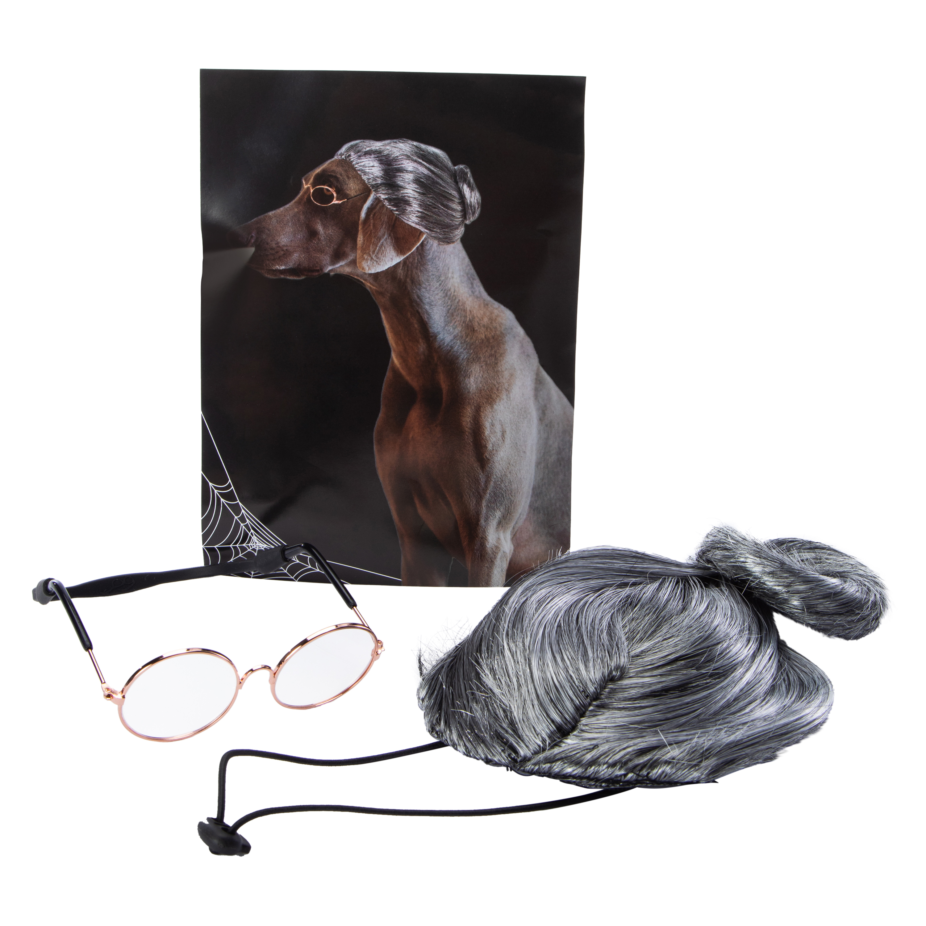 Granny Wig & Glasses Pet Costume