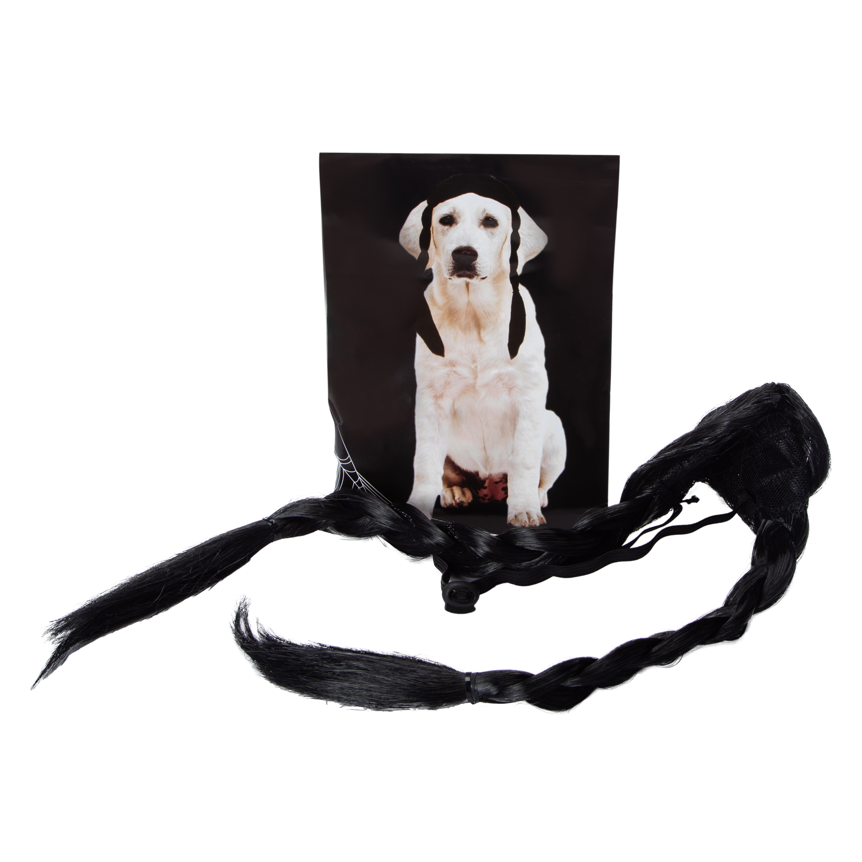 Pet Costume Braids Wig - M/L
